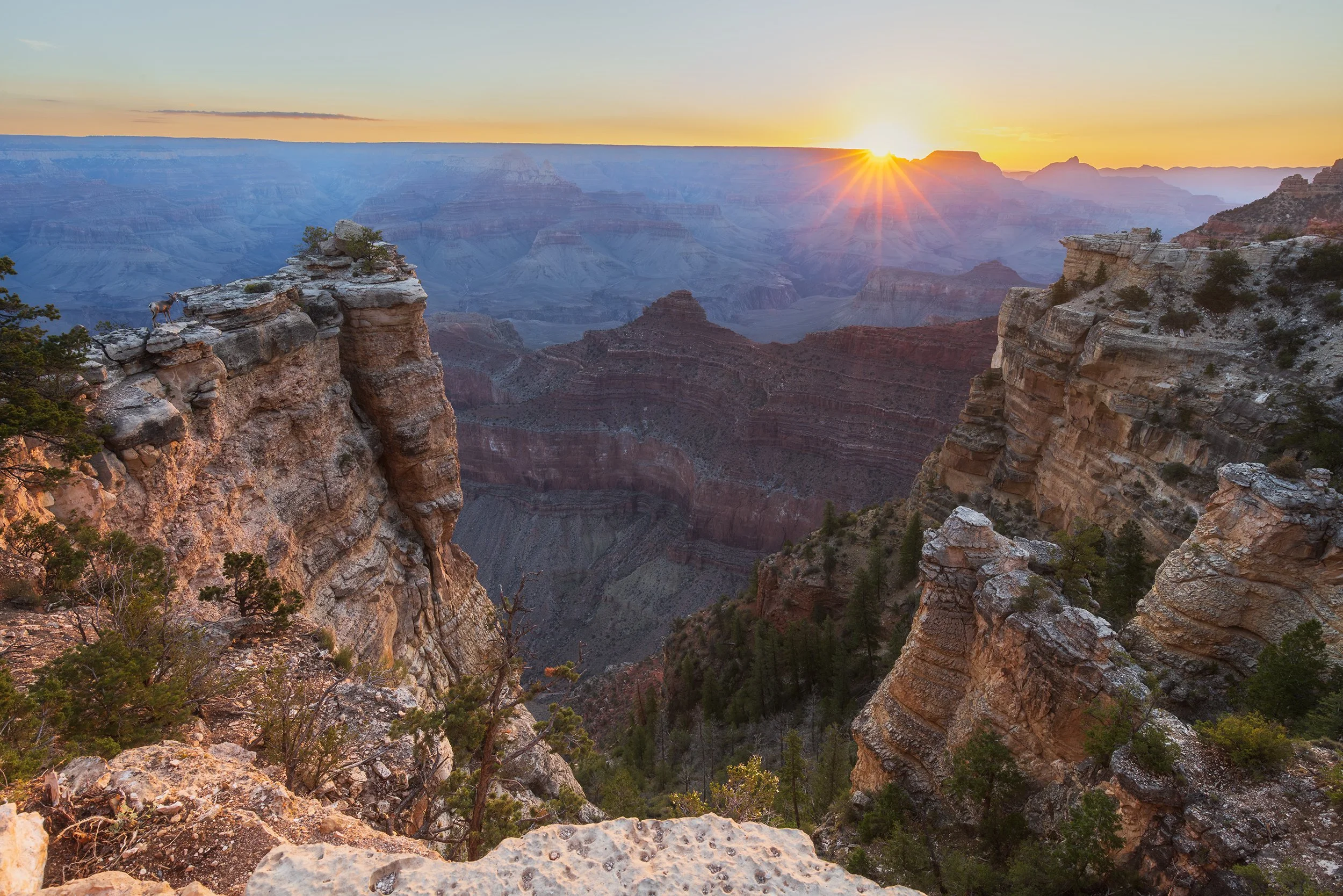 Daybreak at the South Rim