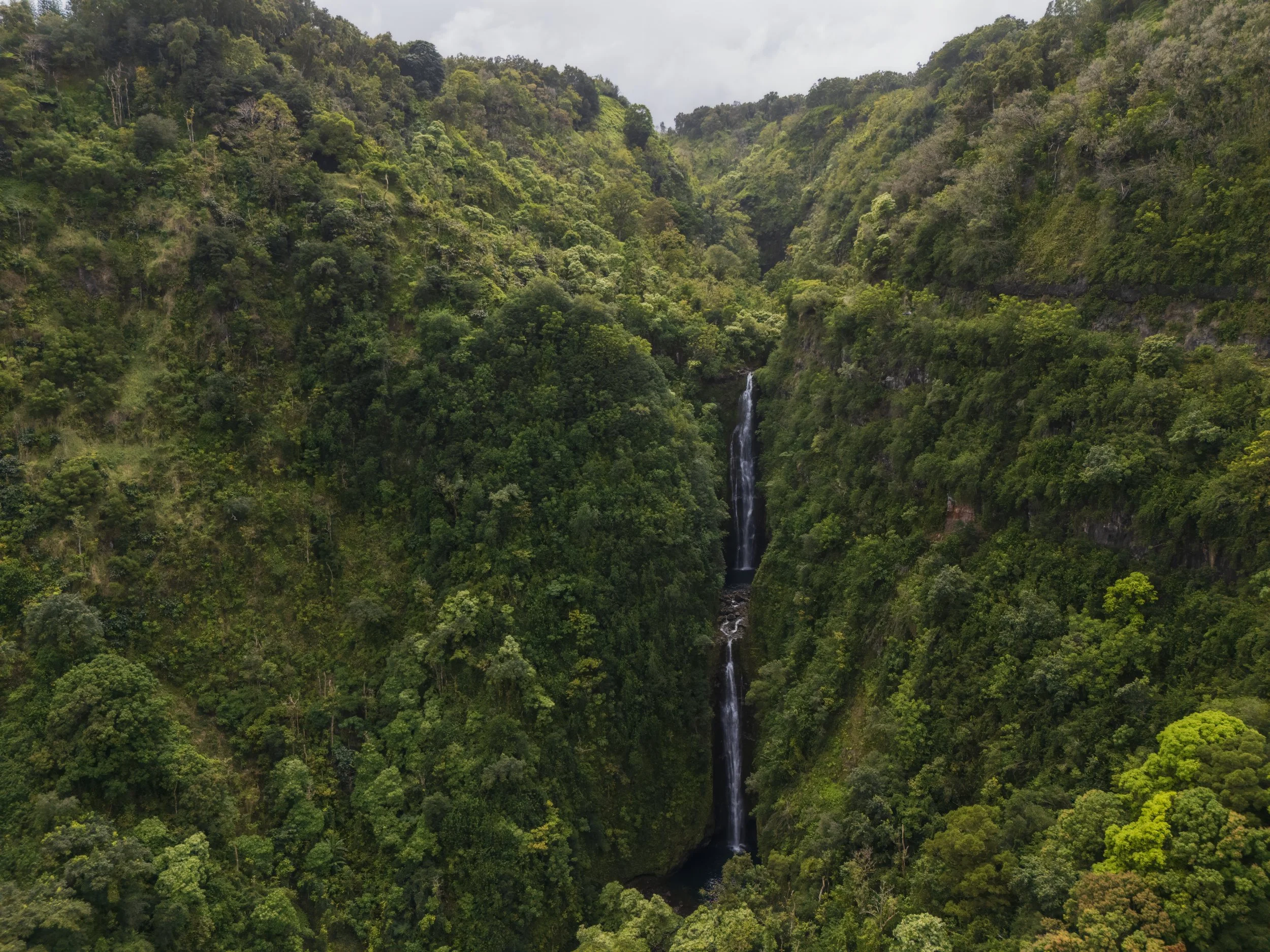 Along the Wailua Nui Stream