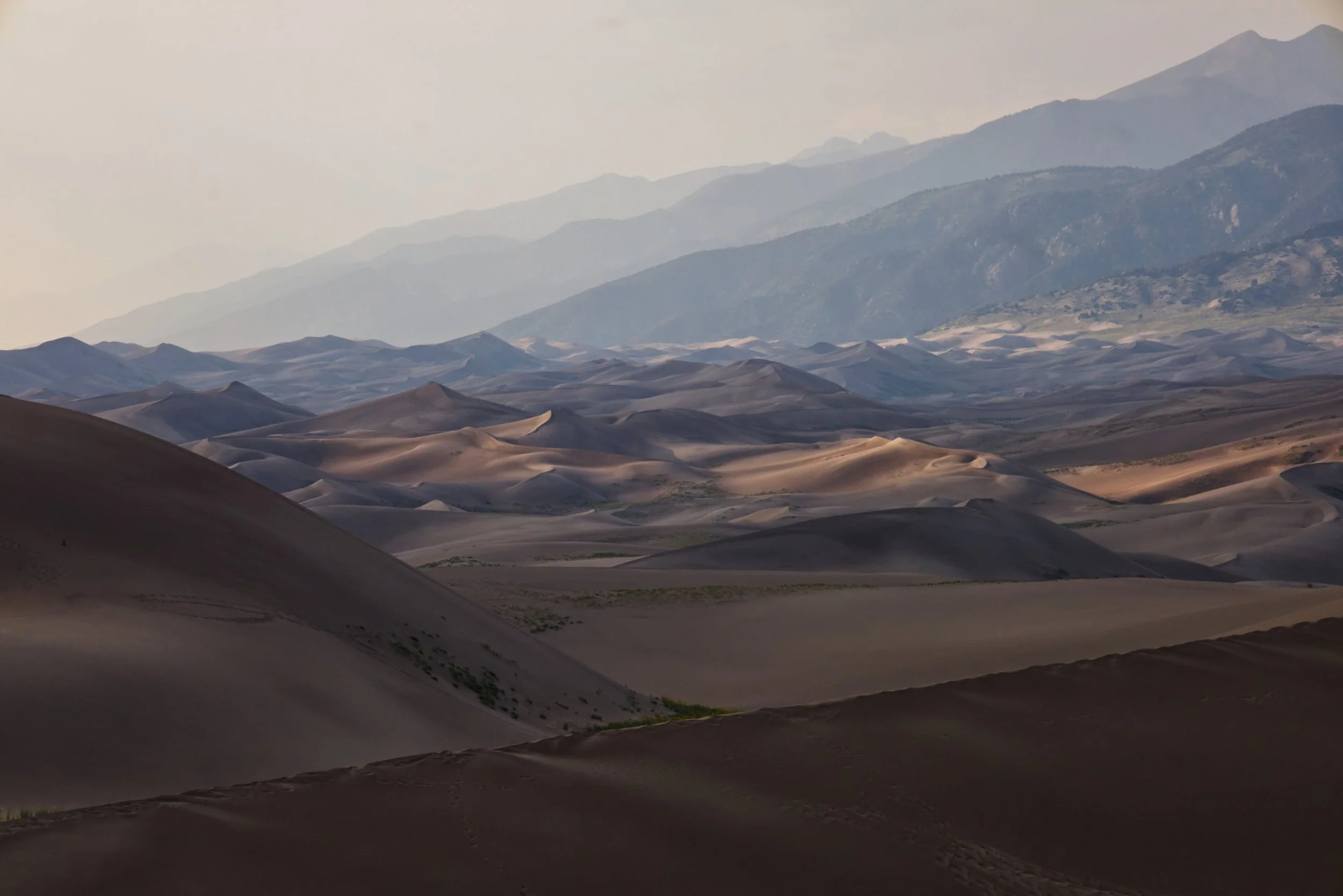 Light and Shadow on the Dunefield