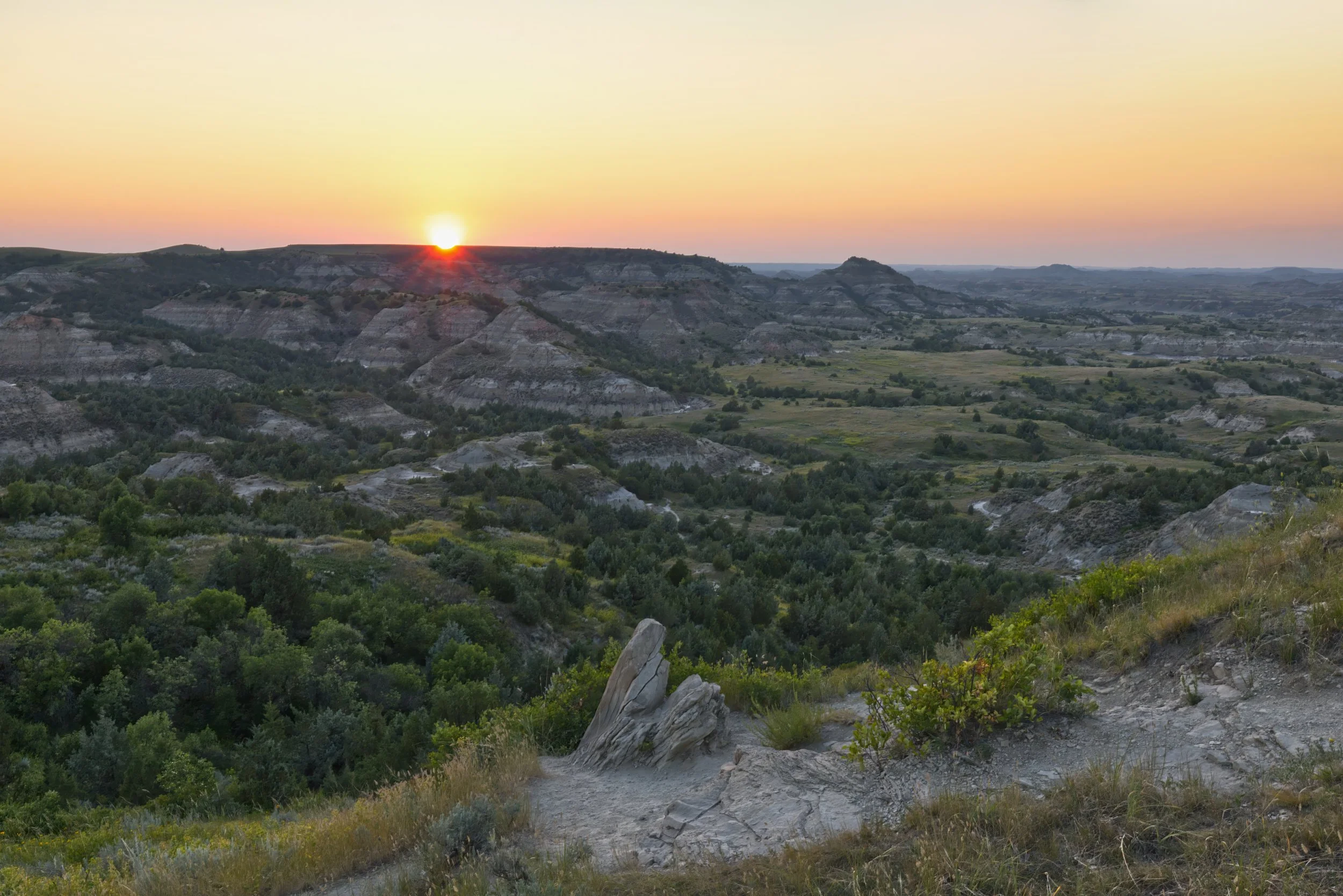 Summer Evening in the Verdant North Dakota Badlands