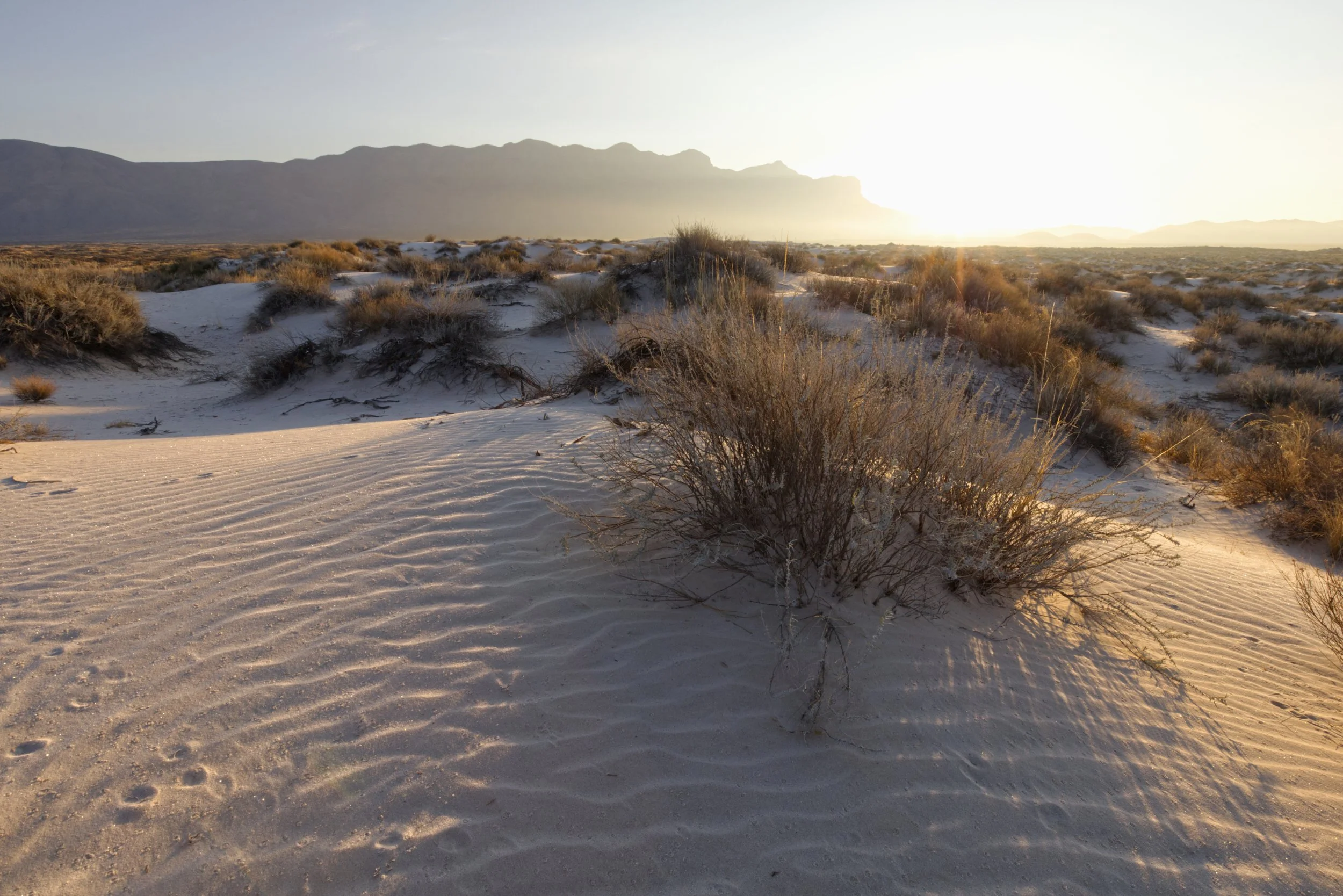 Sunrise over the Remote Salt Basin