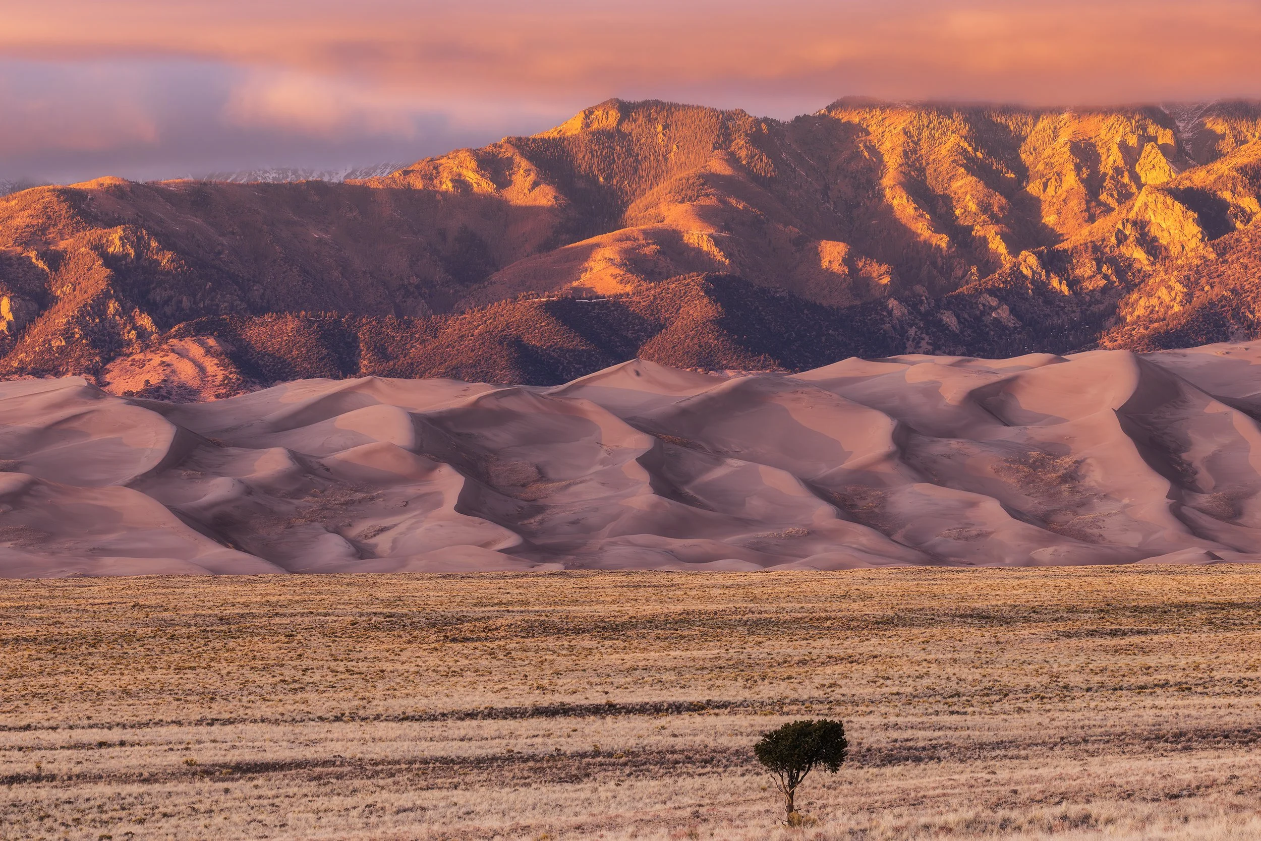 Vivid Colors of the High Desert