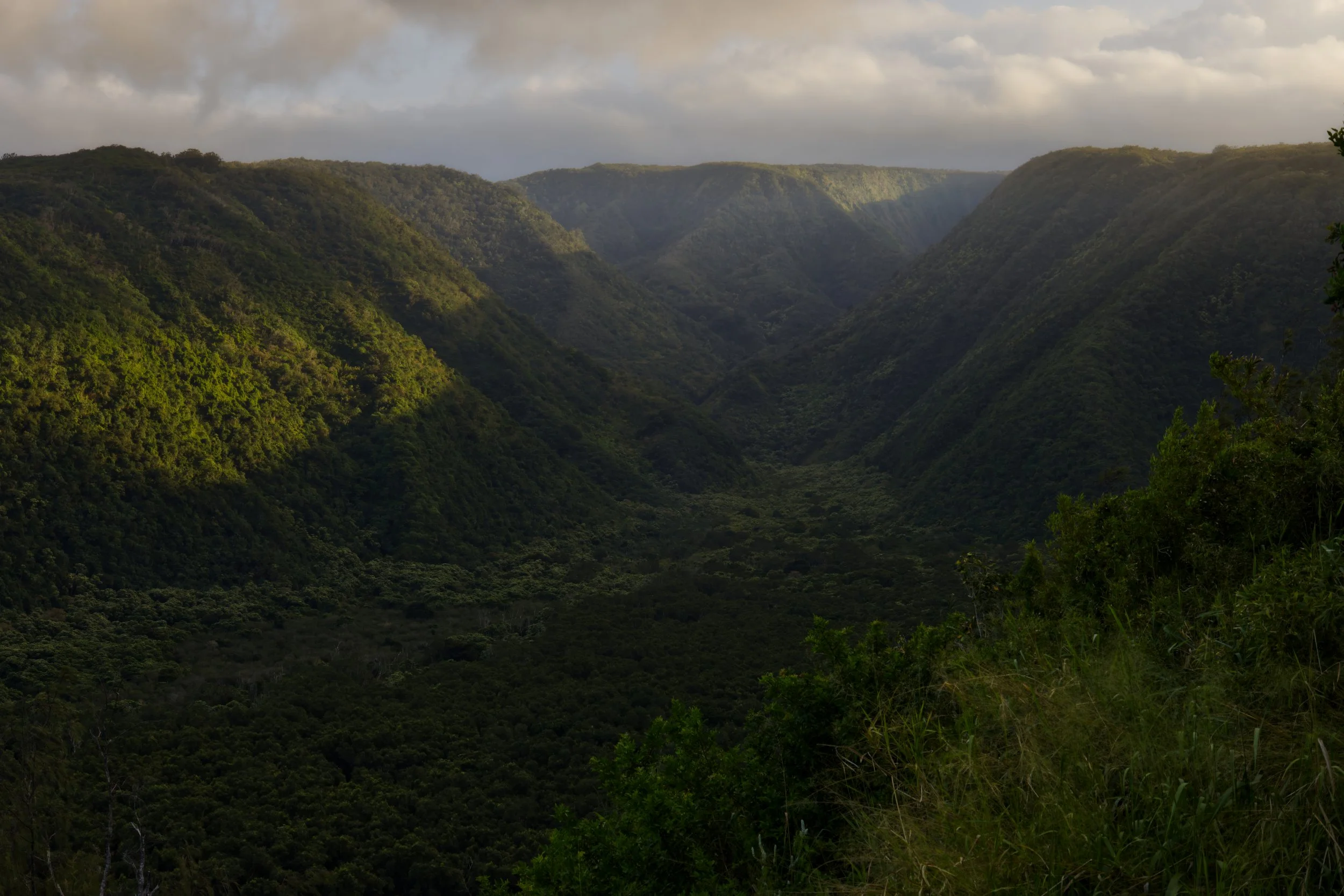Evening in Pololū Valley