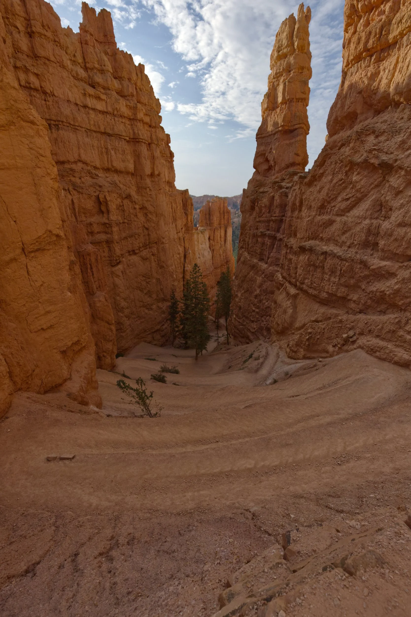 Switchbacks through the Canyon