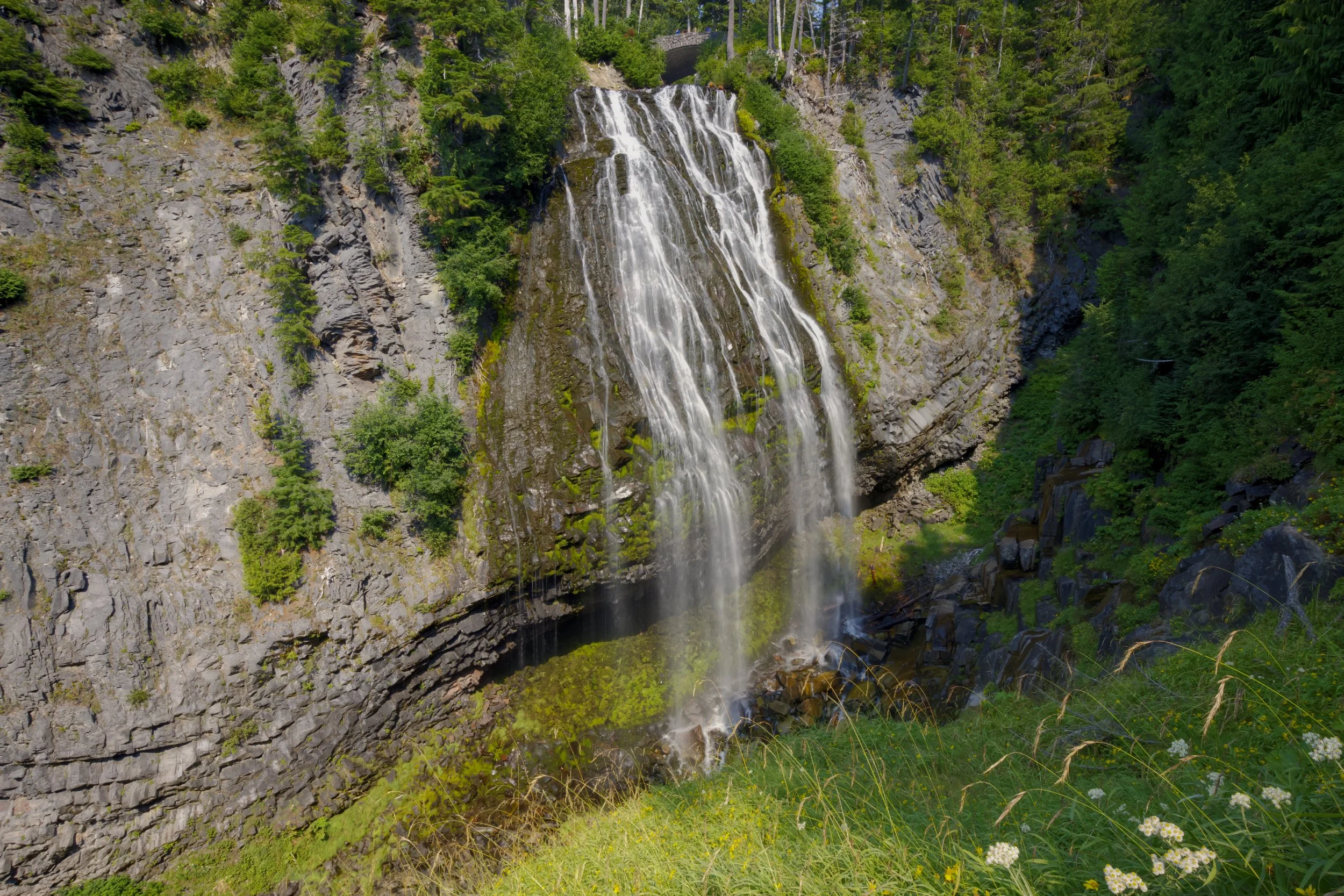 Pure Waters on the Paradise