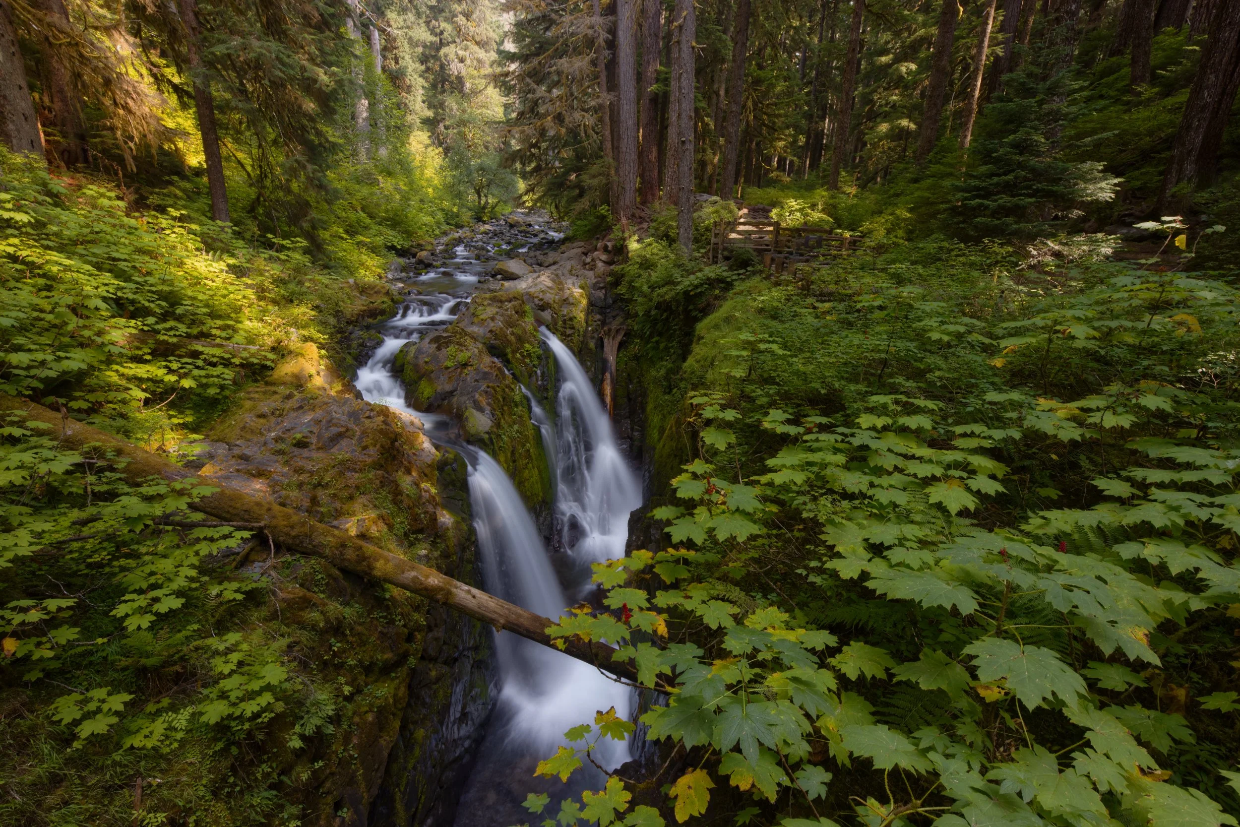 In the Sol Duc Valley
