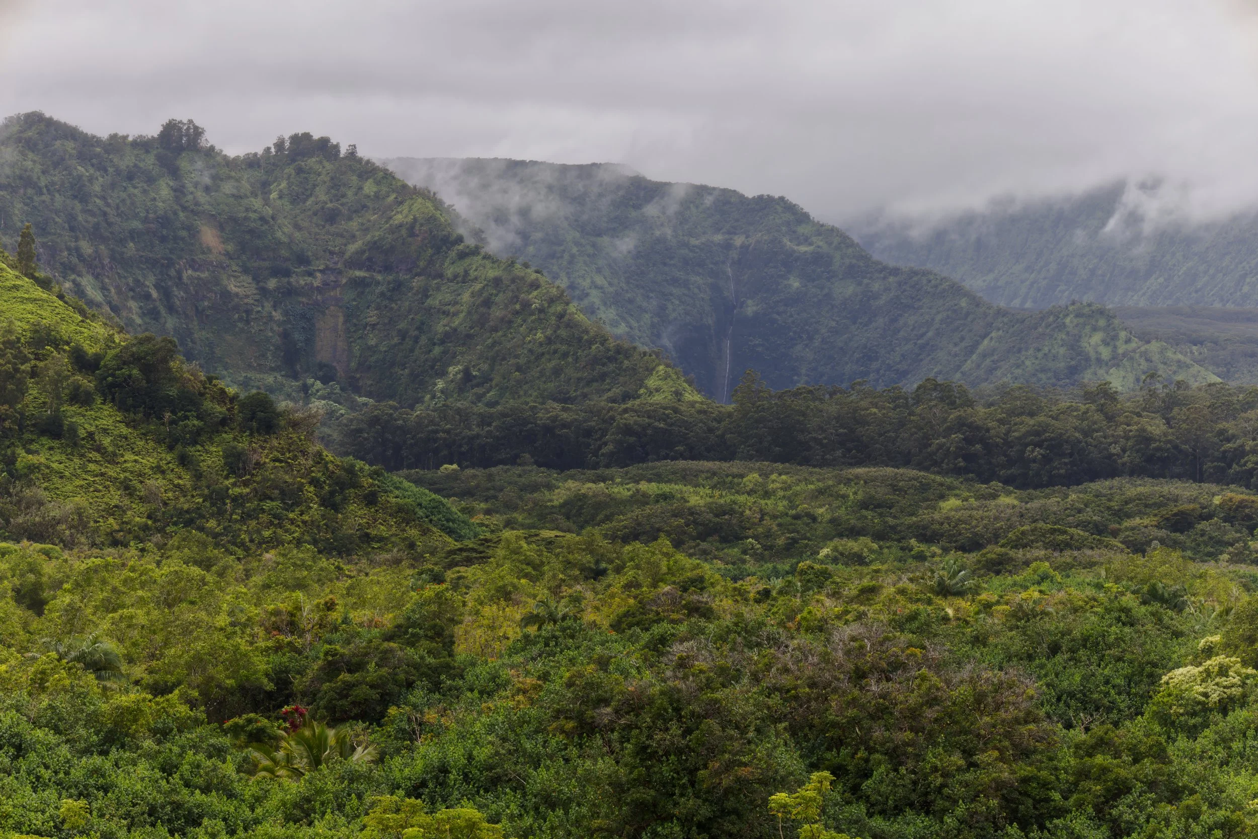 Low Clouds in the Wailua Valley