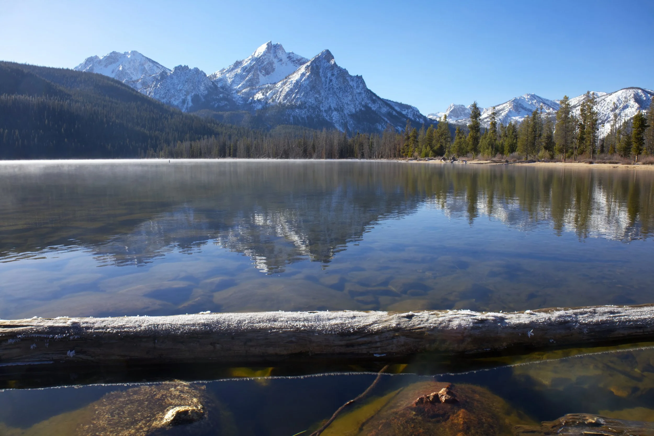In the Heart of the Wilderness
