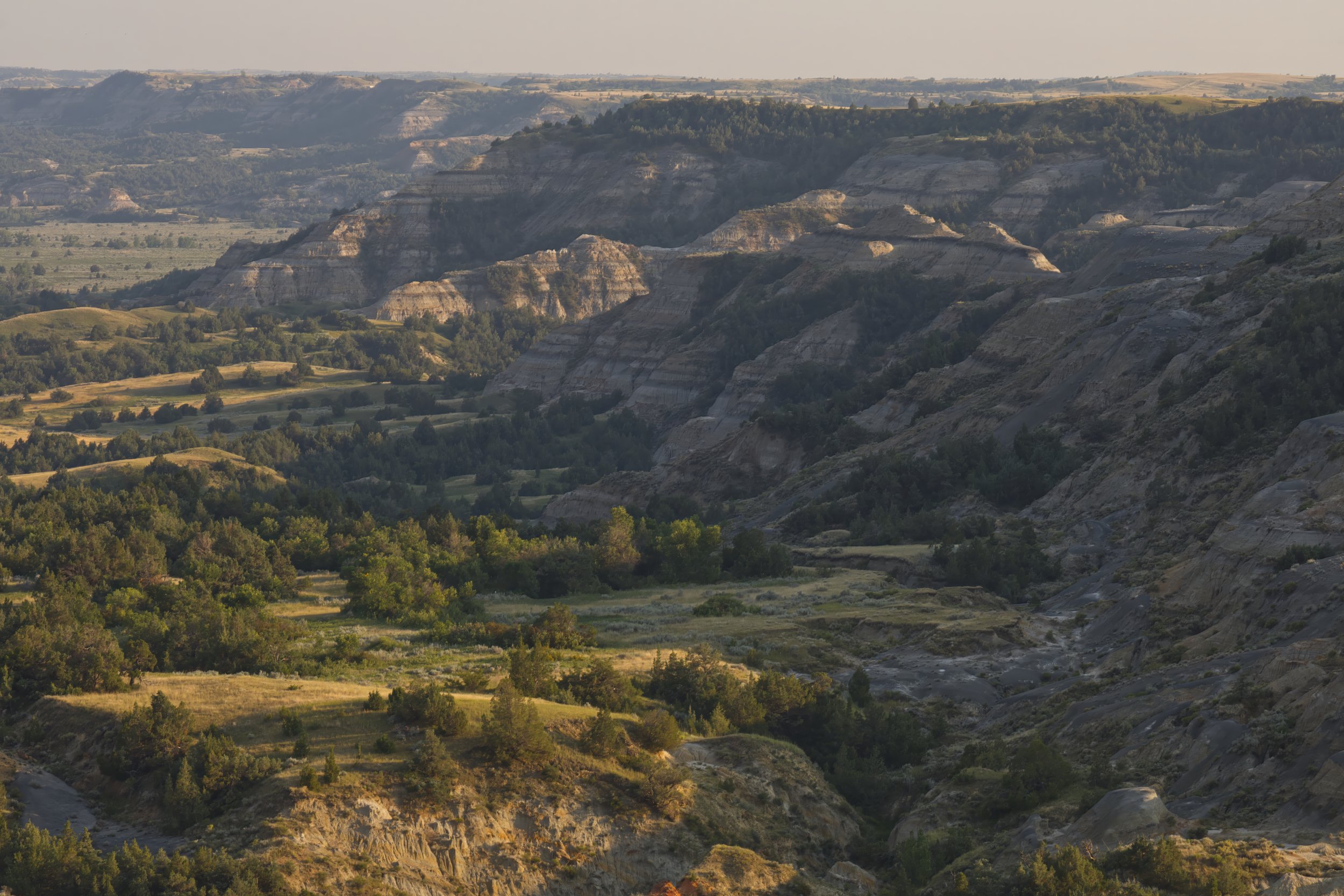 Afternoon in the Wilderness