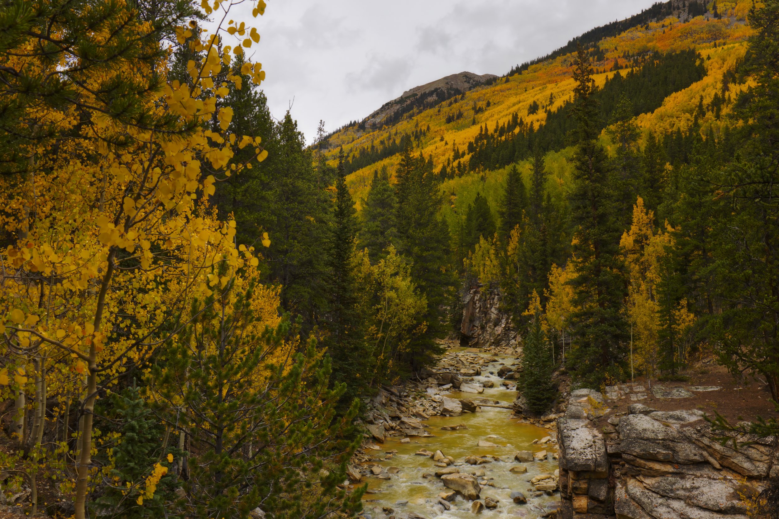 Golden Mountainsides