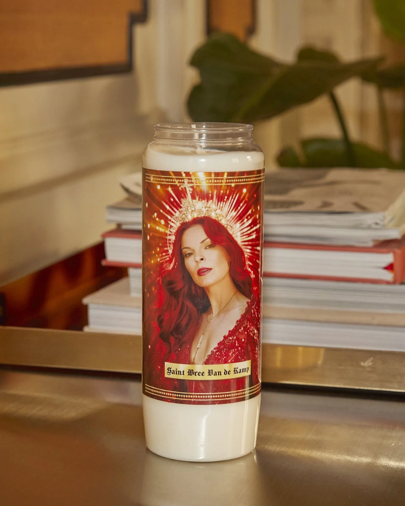 BREE DANS LE SALON.jpg