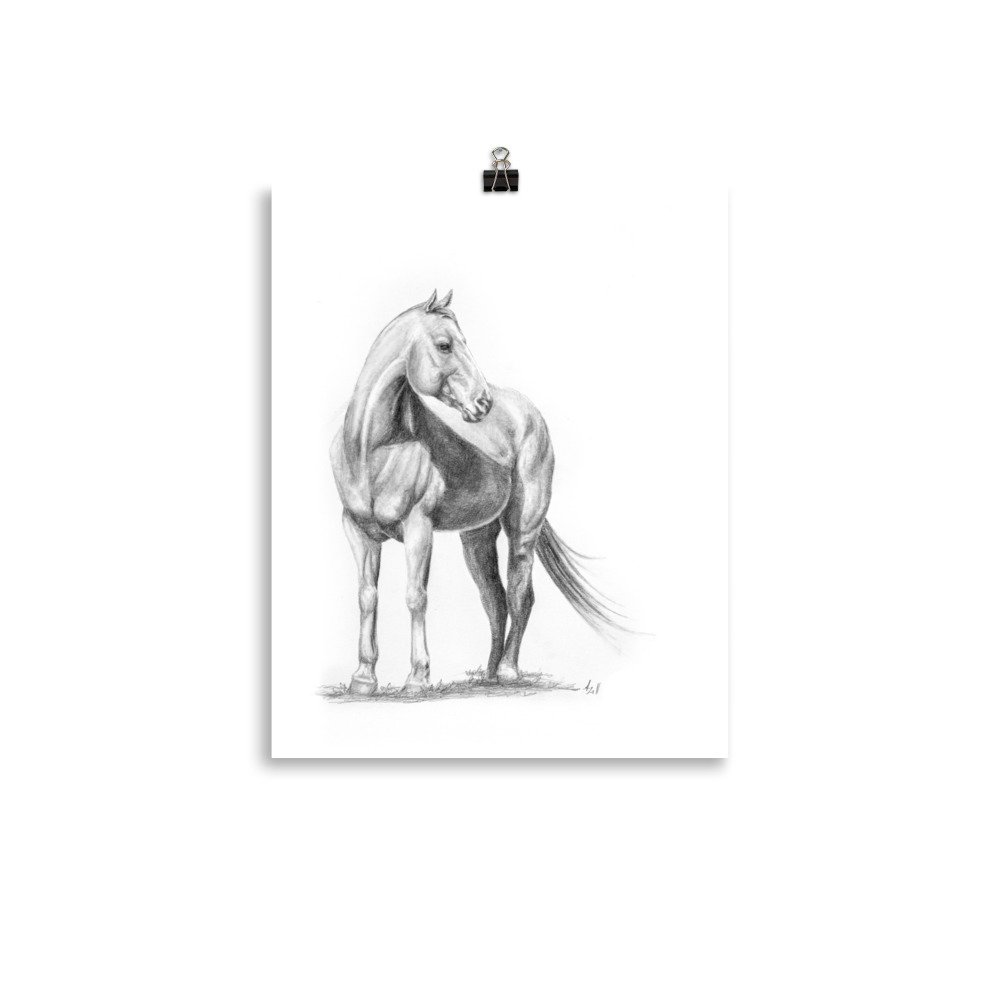 enhanced-matte-paper-poster-(in)-11x14-transparent-667d5fe0e4eb2.jpg