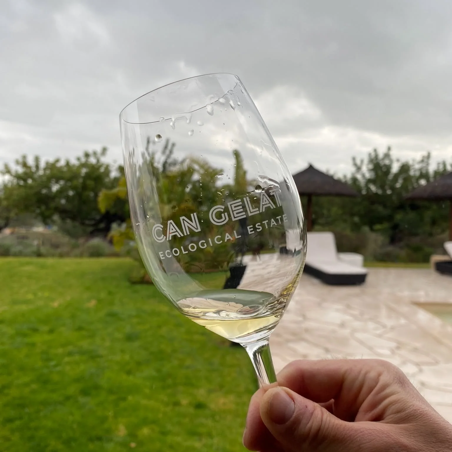 What a beautiful day yesterday tasting the new wines from @bodegacangelat with great food from Joan Marc catering. Fantastic biological wines grown near the picturesque town of Moscari. We're looking forward to offering Can Gelat wines to our guests 