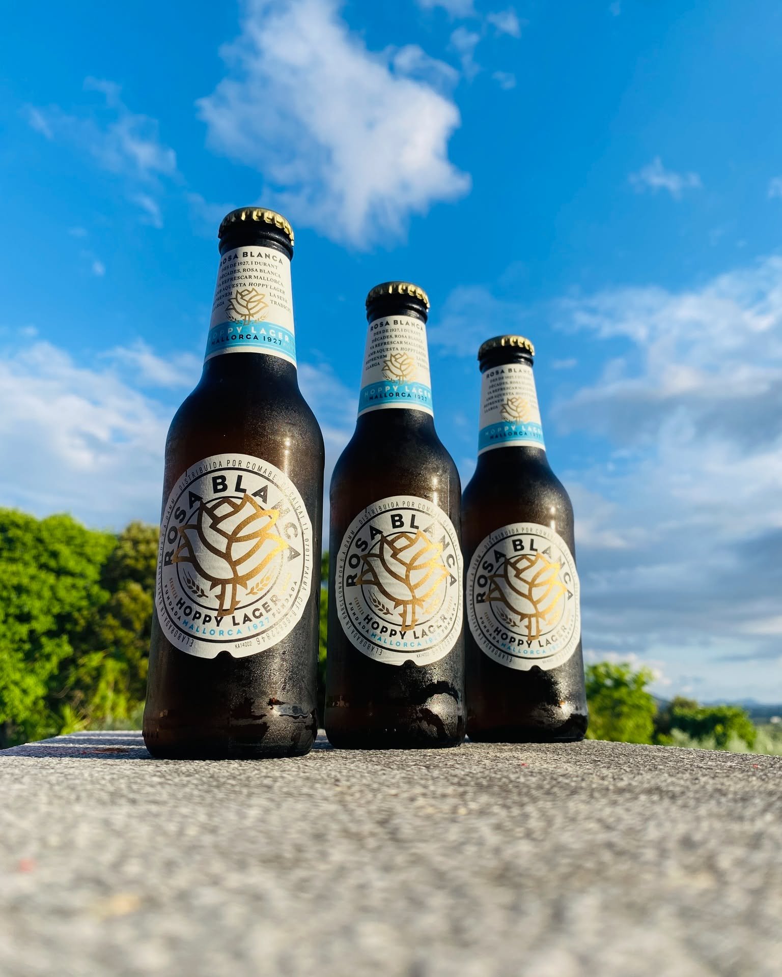 Rosa Blanca is our go to beer, when you&rsquo;re craving something fresh and ice-cold, it never disappoints.

The beer was originally brewed in Santa Catalina, Palma de Mallorca from 1927 and for decades, Rosa Blanca refreshed Mallorca by brewing dif