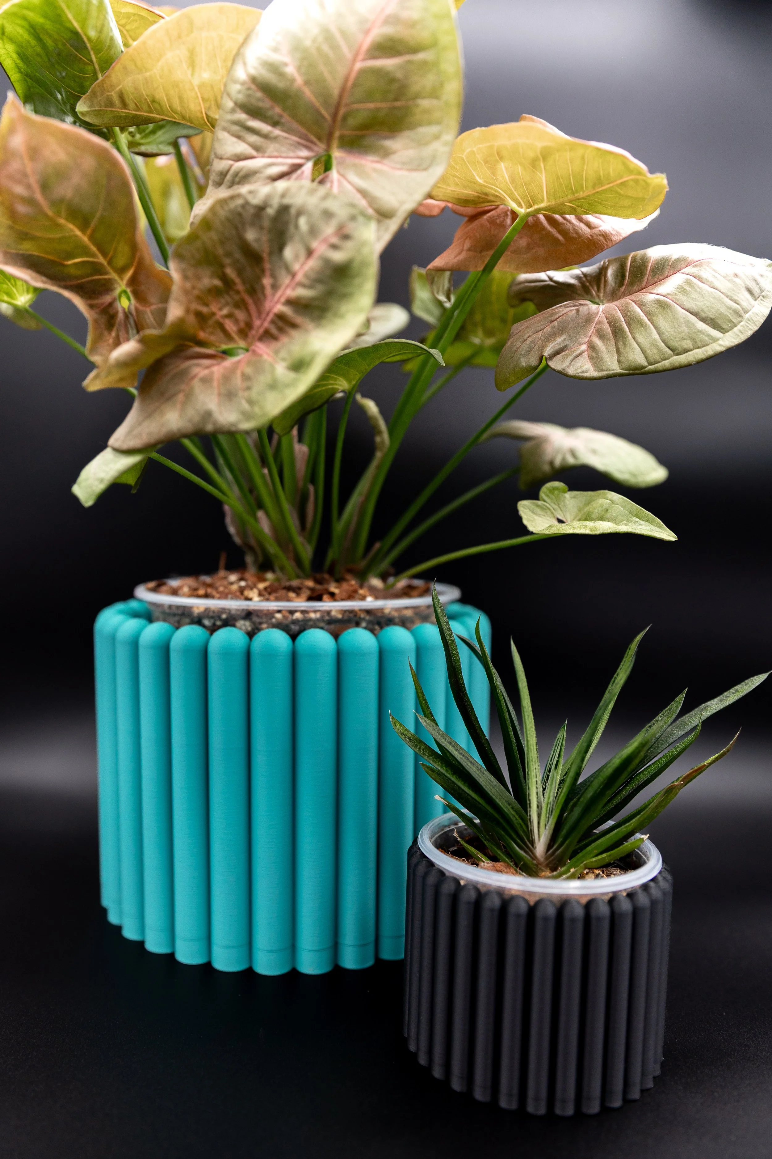 Medium and small Carlie Planters in teal and black holding plants.