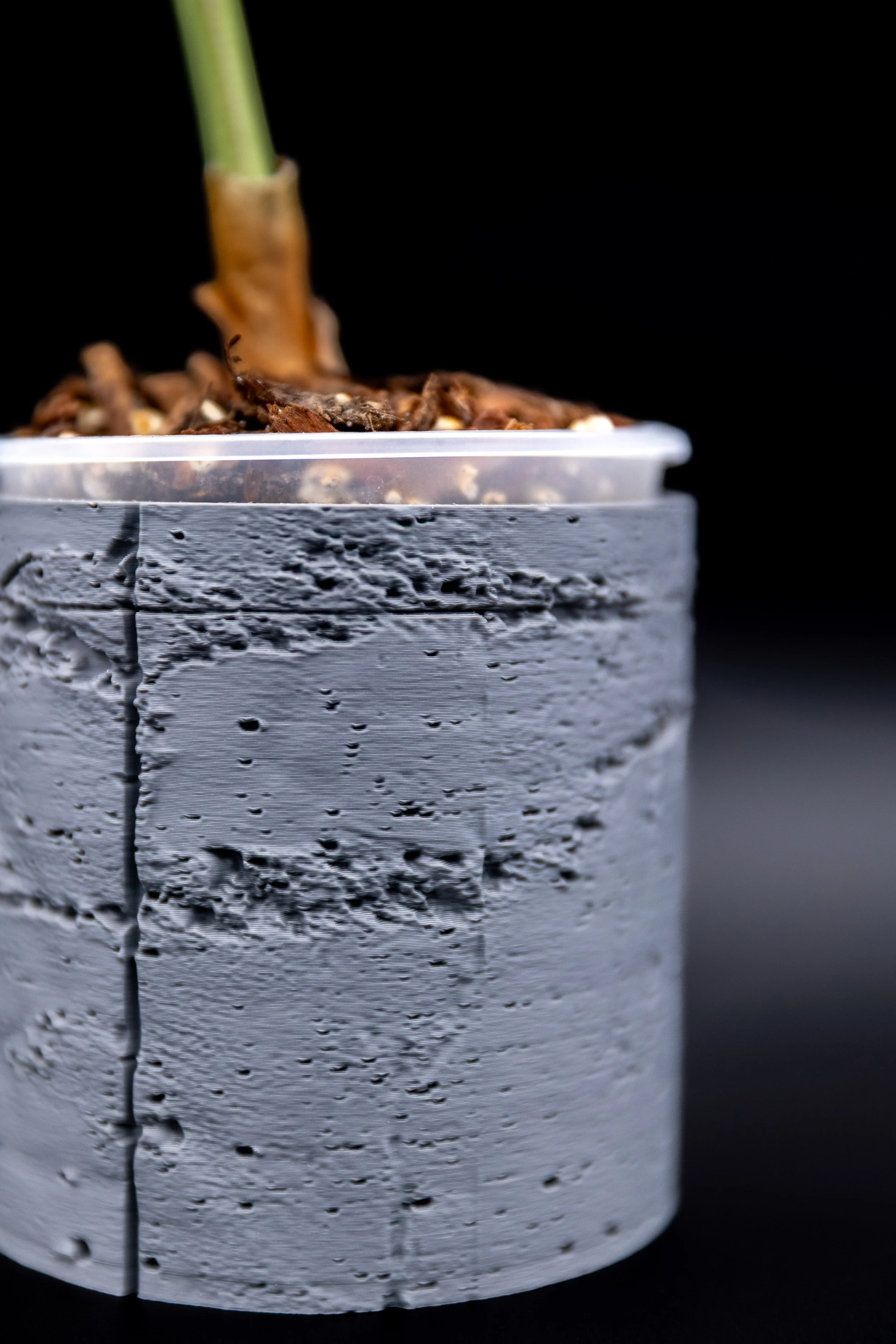 Close-up of the Concrete Jungle Planter’s cracked concrete texture with plant stem detail.