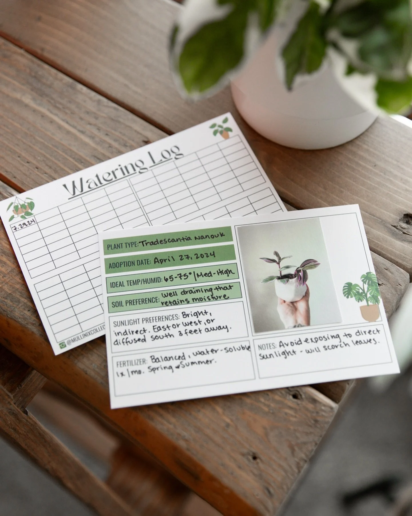 It&rsquo;s been a while since I shared about my plant tracker cards!

Fun fact: these were the first plant related item in my shop. I didn&rsquo;t have nearly as many plants in my collection as I do now, so these were very handy for me when I was sti