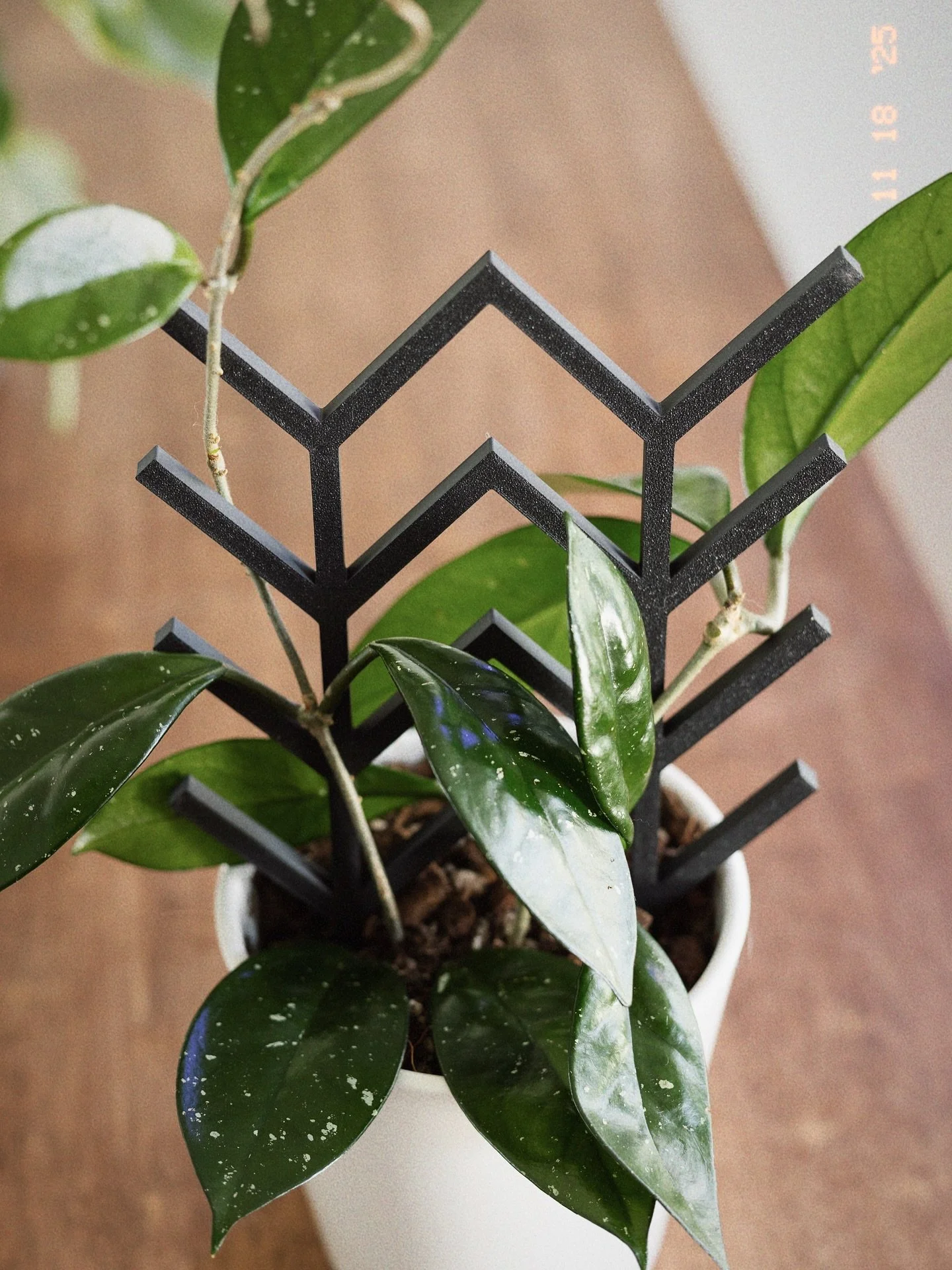 Your reminder that plants don&rsquo;t need to be aesthetic to be thriving&hellip;
buuuuuuut a cute trellis definitely doesn&rsquo;t hurt 🤪

I print all these plant helpers in-house&hellip;aka my chaotic office cave&hellip;and they make the perfect s