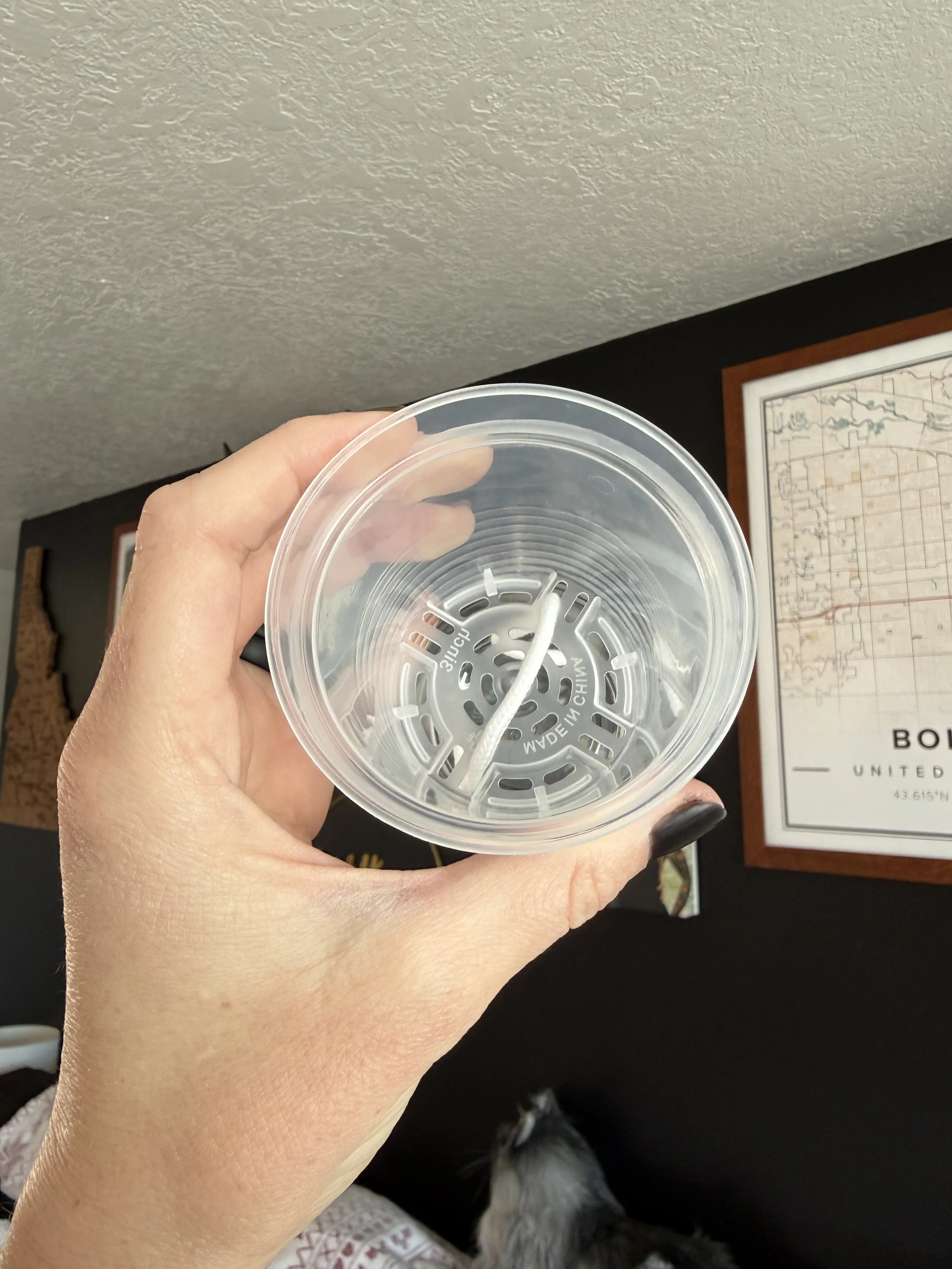 Interior view of propagation cup showing drainage slots and wick placement