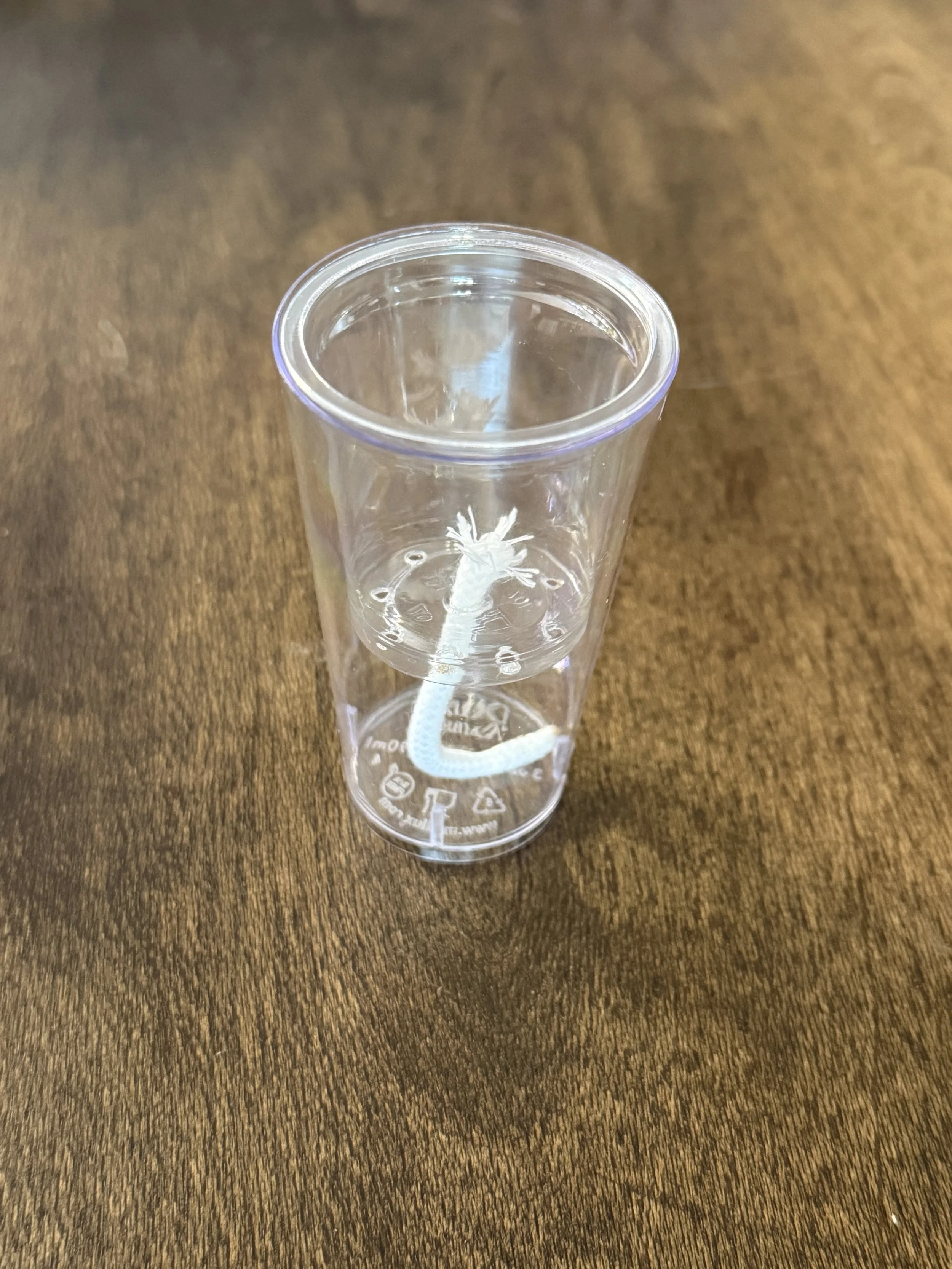 Clear self-watering corm cup with dome and wick for Alocasia propagation