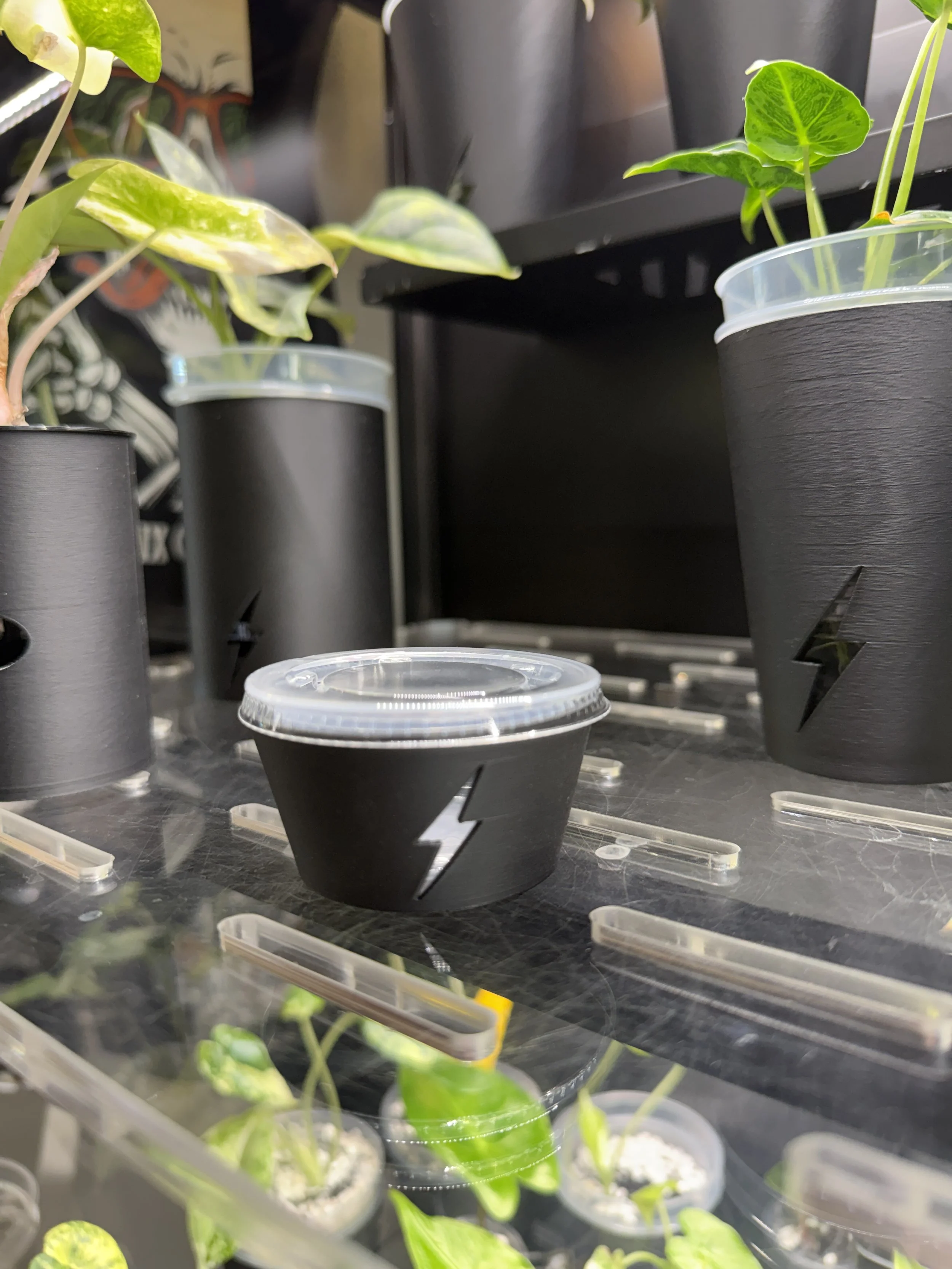 2oz Condiment Cup Cover | Algae Control