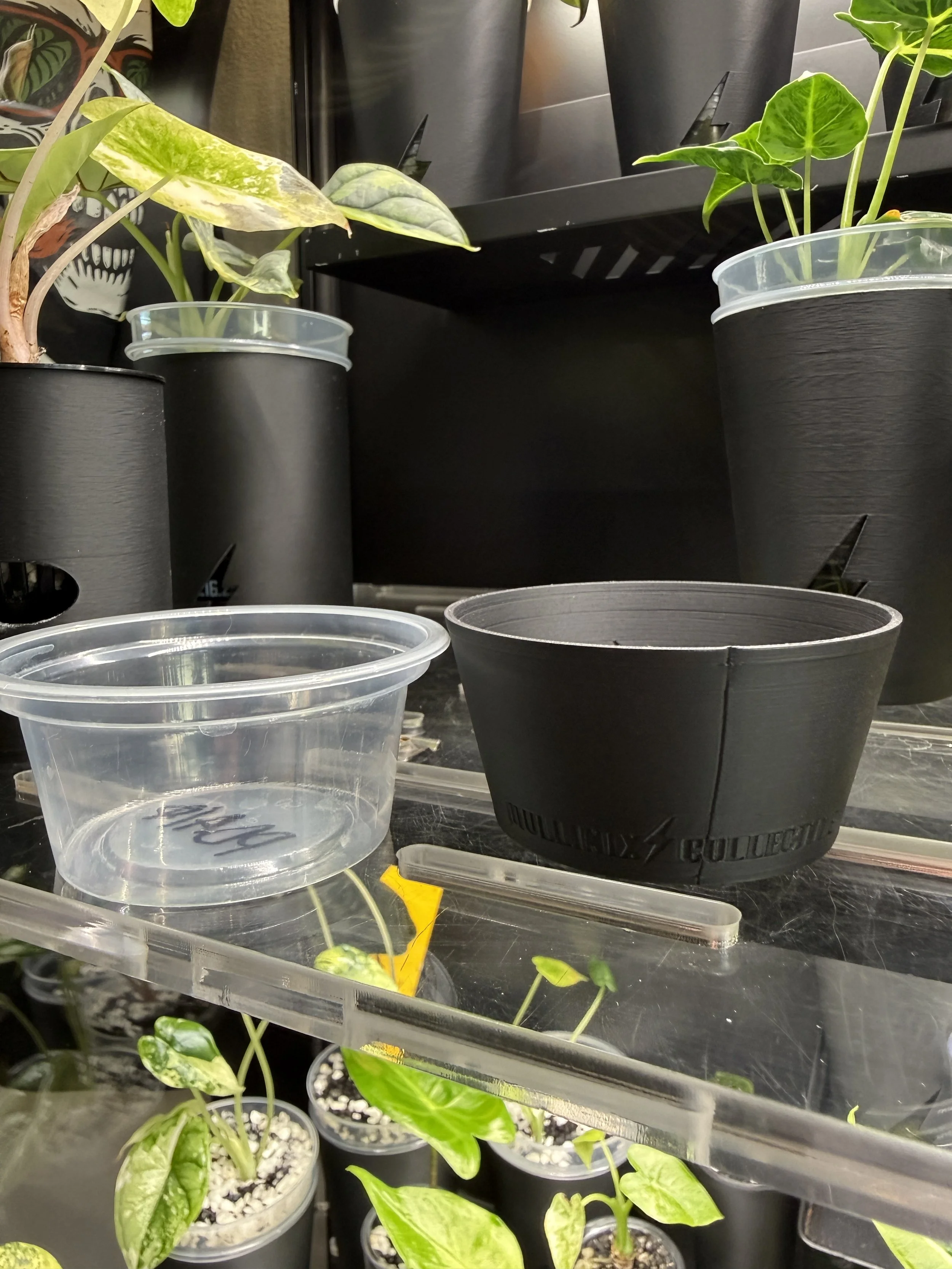 Clear 3.5oz condiment cup next to black cover showing size and fit comparison.