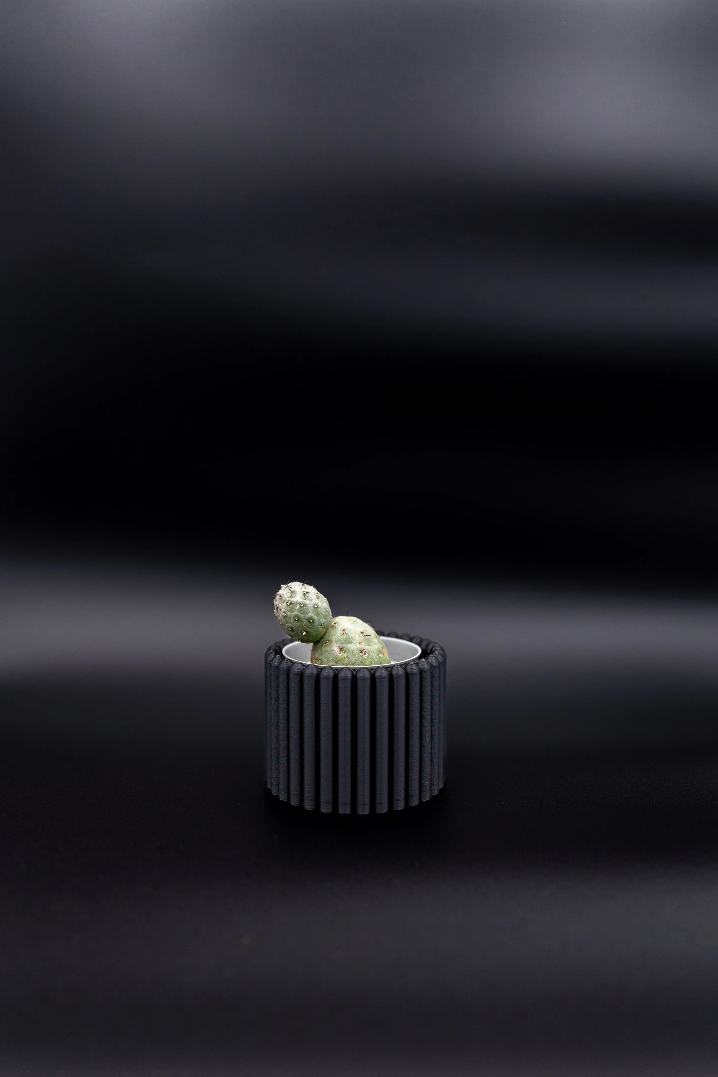 Small black Carlie Planter with a cactus cutting on a black backdrop.