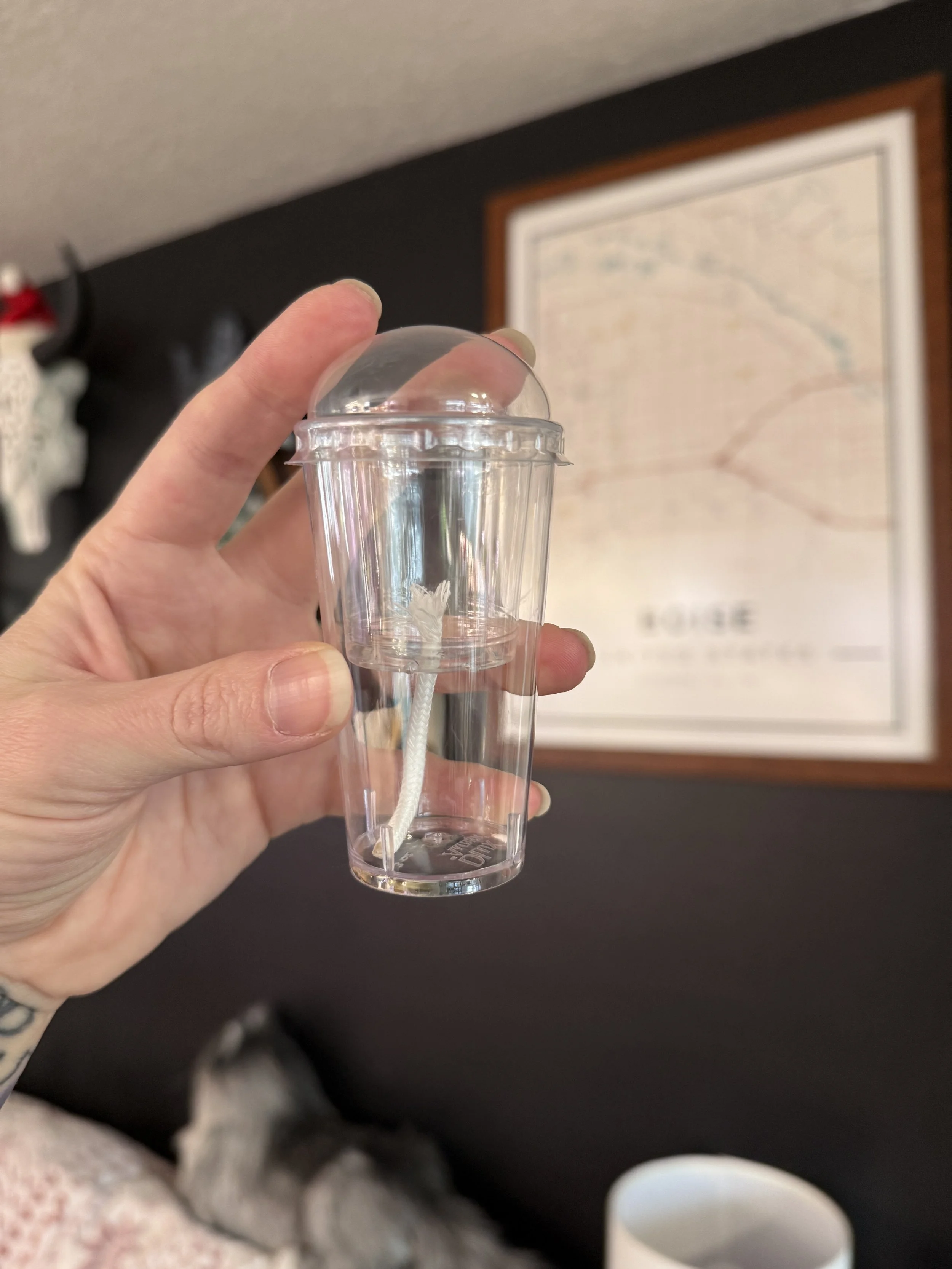 Clear self-watering corm cup with dome and wick for Alocasia propagation