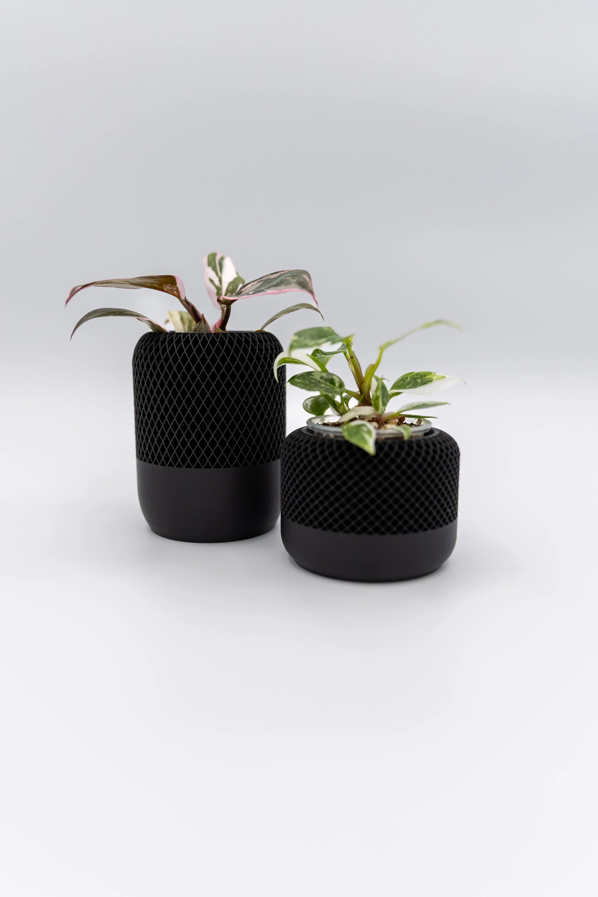 The Night Drive Planter – Decorative | Mesh-Textured Indoor Pot (No Drainage)