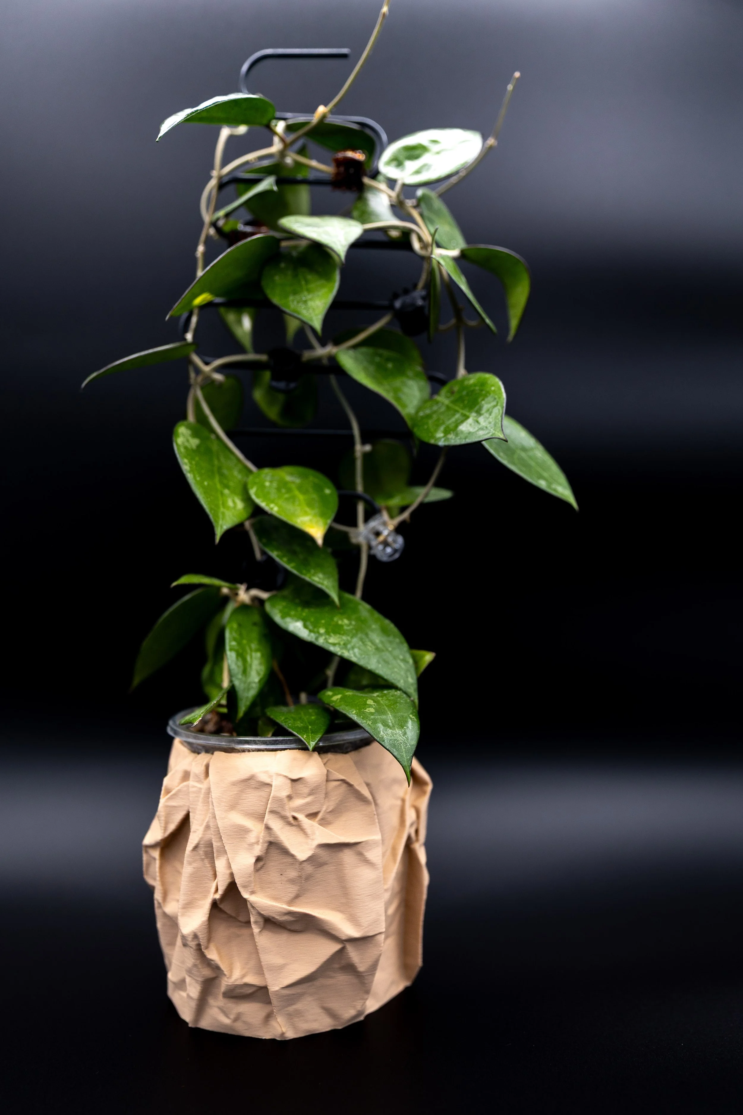The Love Letters Planter – Drainage | Crumpled-Paper Planter with Drainage