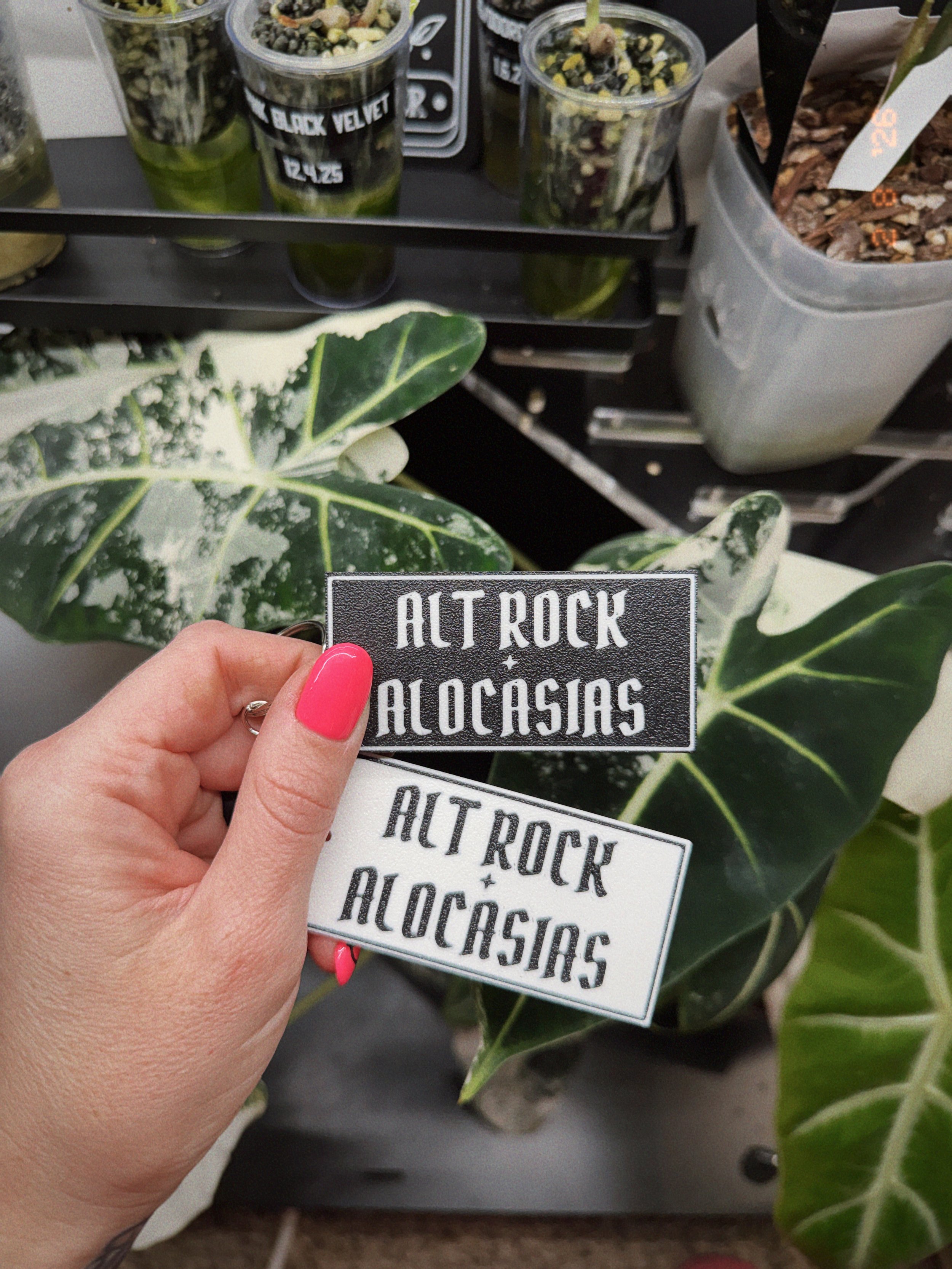 Alt Rock + Alocasias keychains photographed in front of Alocasia plant leaves.