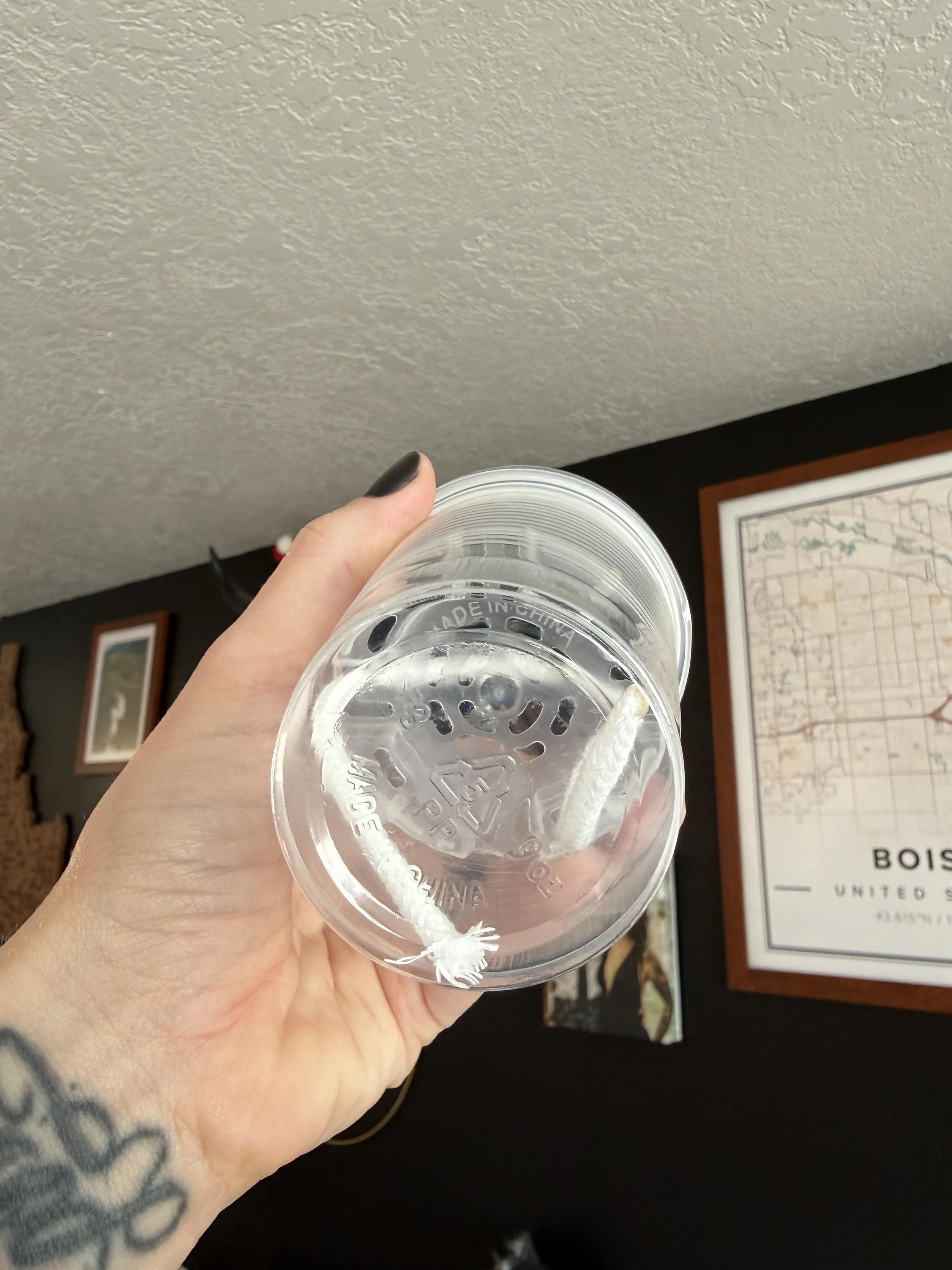 Bottom view of clear propagation cup showing water reservoir and wick