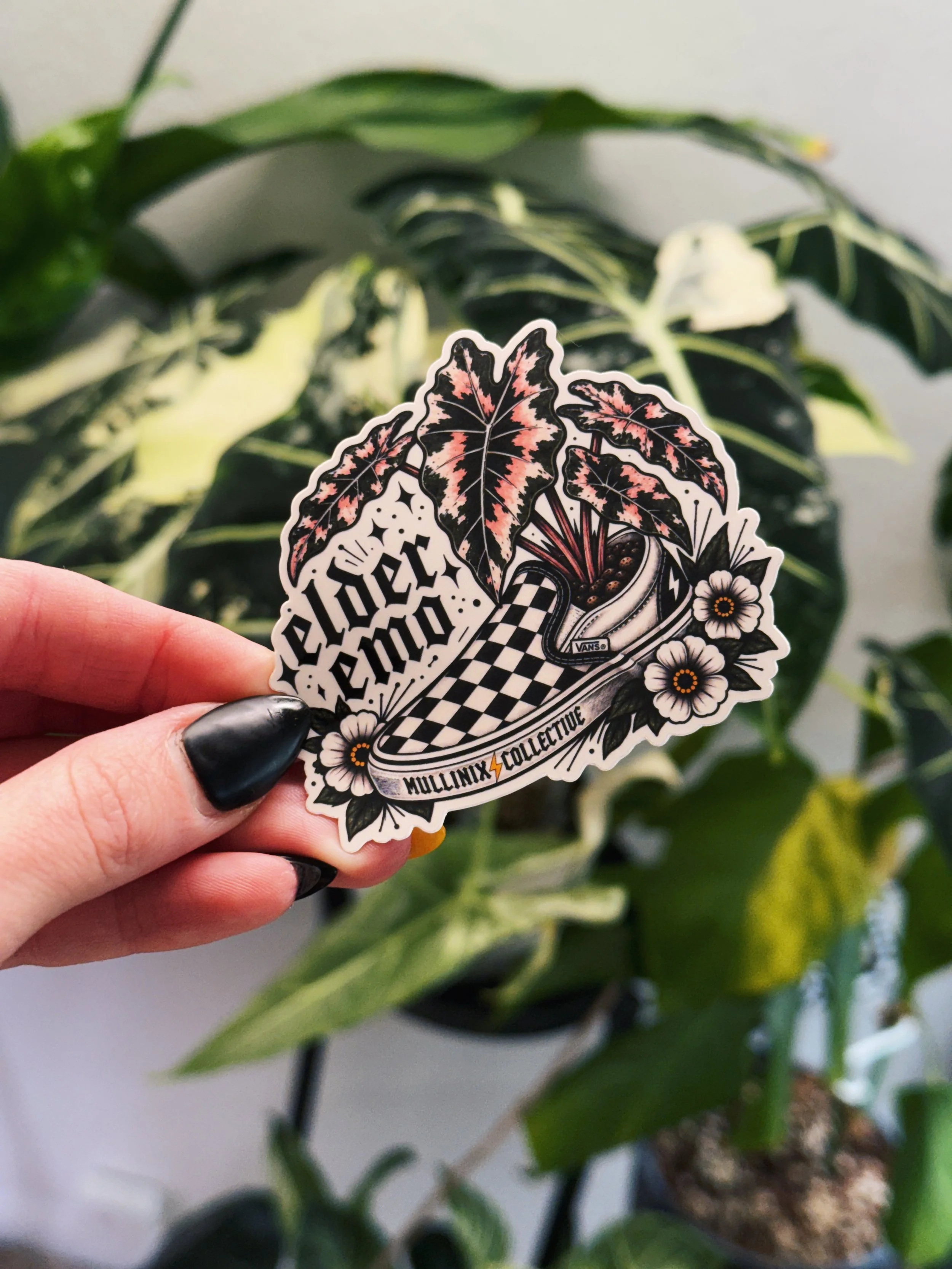 Elder Emo Alocasia Pink Chantrieri Plant Sticker – 3"