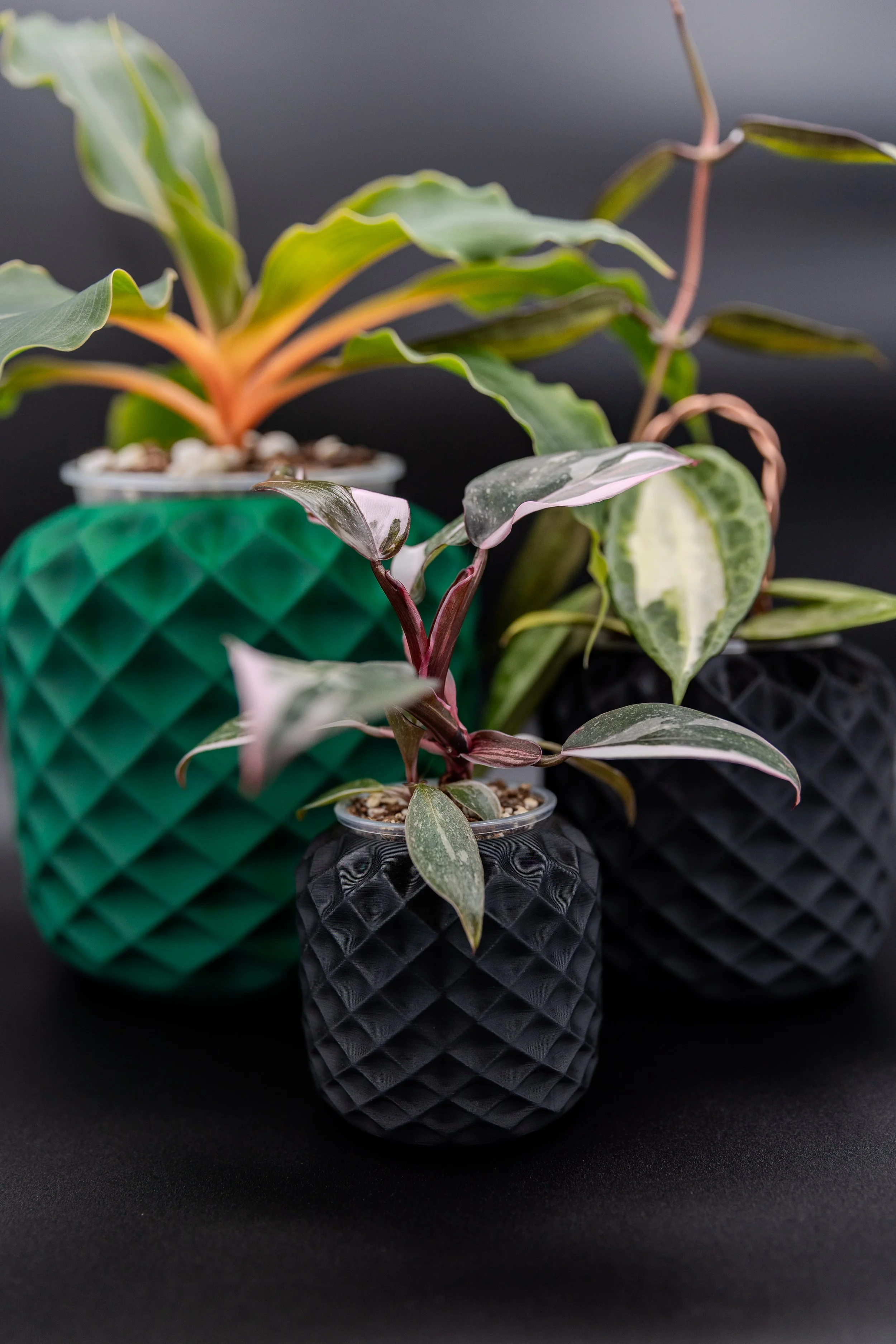 The Shlie Planter – Decorative | Diamond-Texture Indoor Pot (No Drainage)