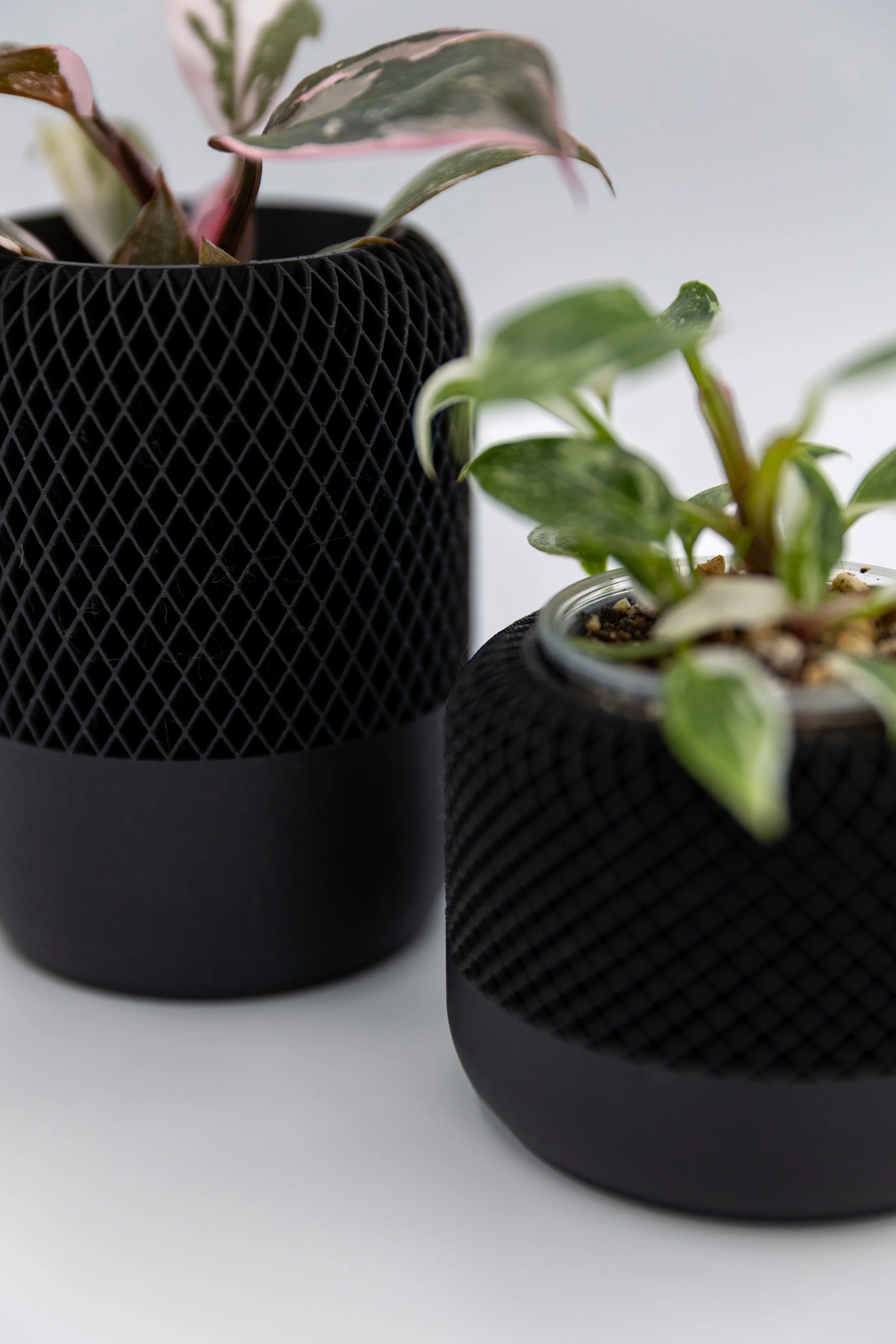 Black 3D-printed mesh planter holding a variegated plant, part of the Night Drive Planter collection.