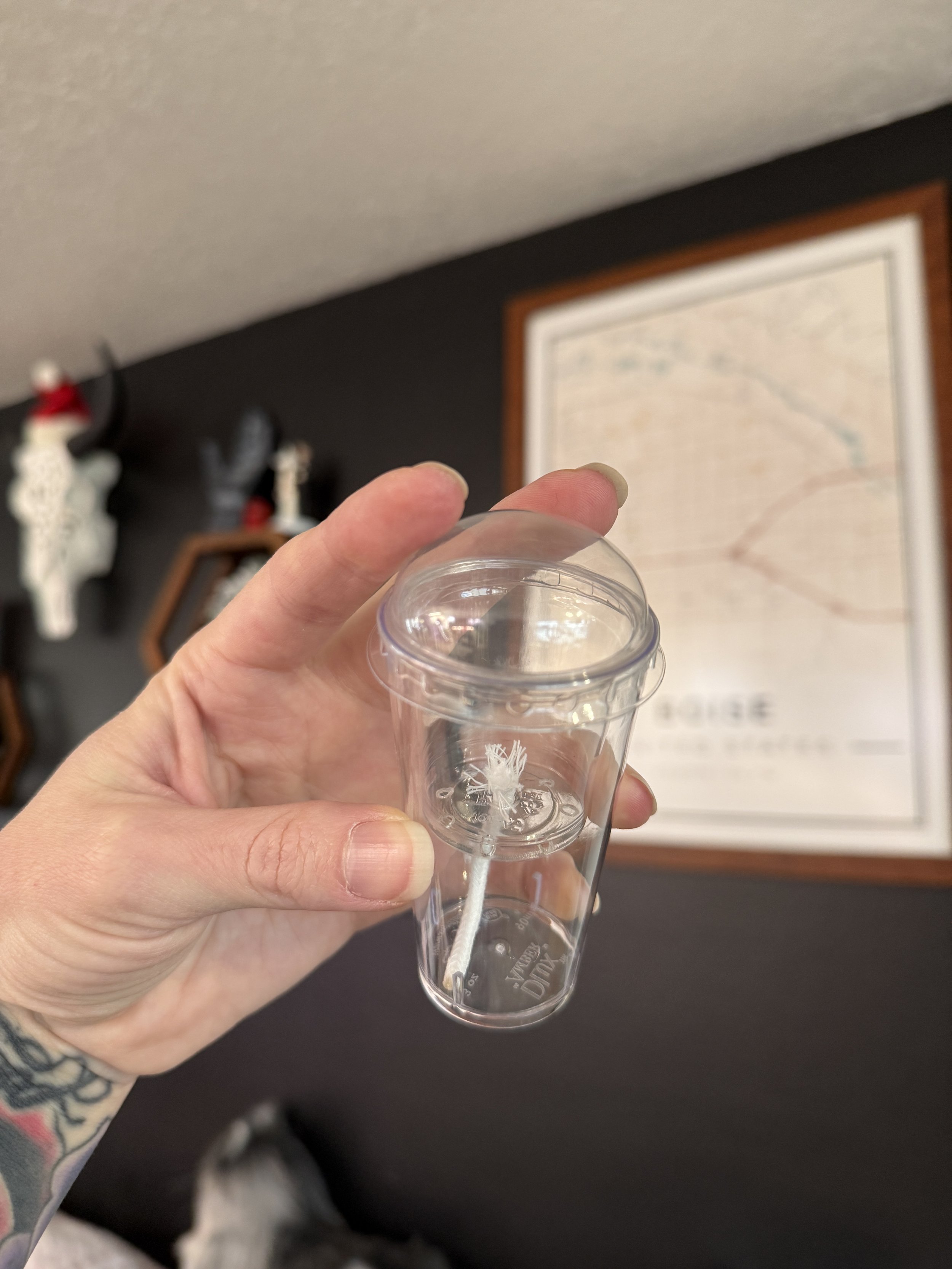 Self-watering propagation cup designed for Alocasia corm rooting