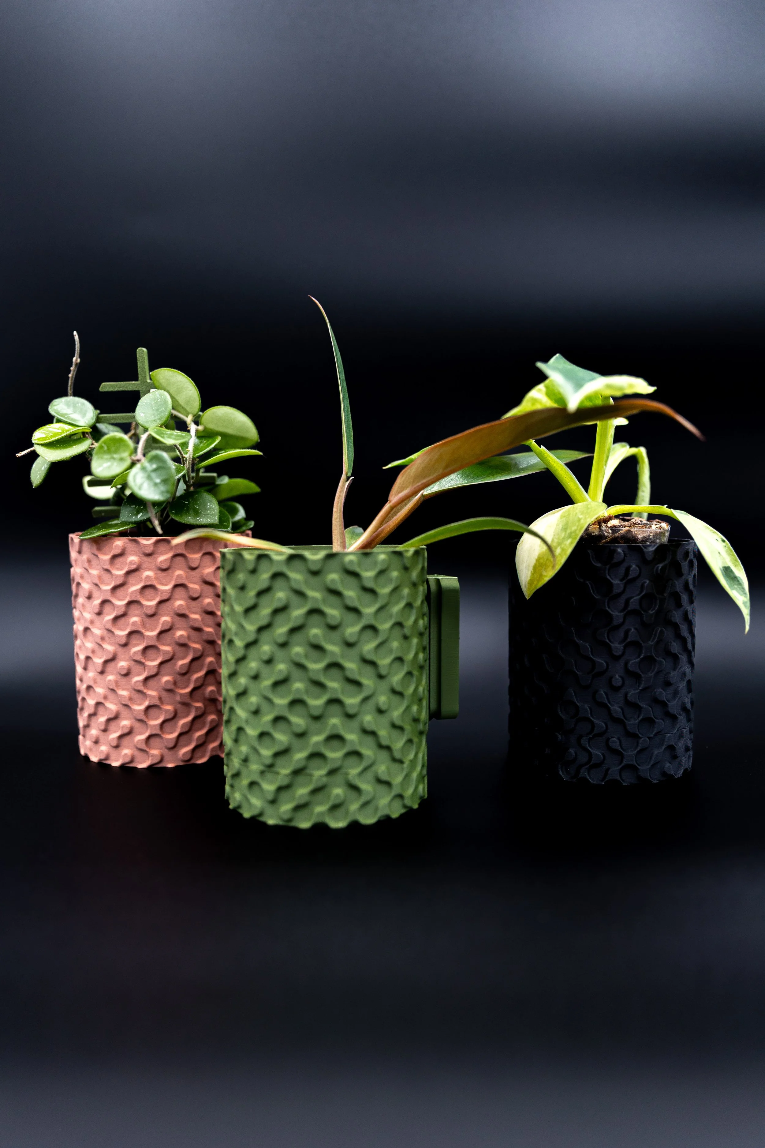 The Boone Planter – Wall Mount | Hanging Planter with Drainage + Drip Tray