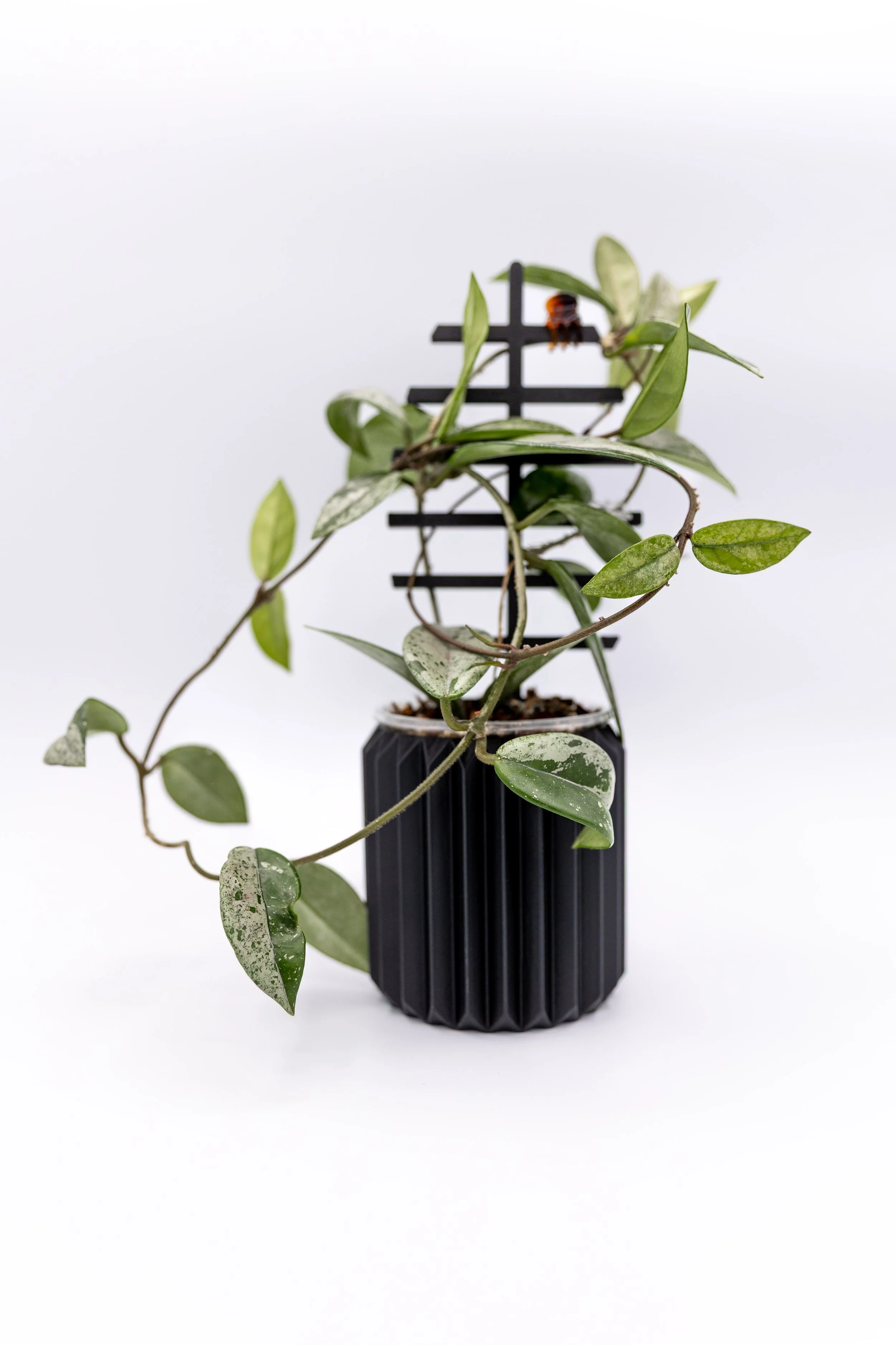 The Myla Planter – Decorative | Minimal Textured Indoor Pot (No Drainage)