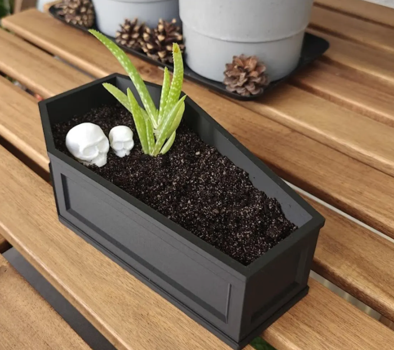 Matte black 3D-printed coffin planter with soil, small succulent, and two white skull accents on a wooden table.