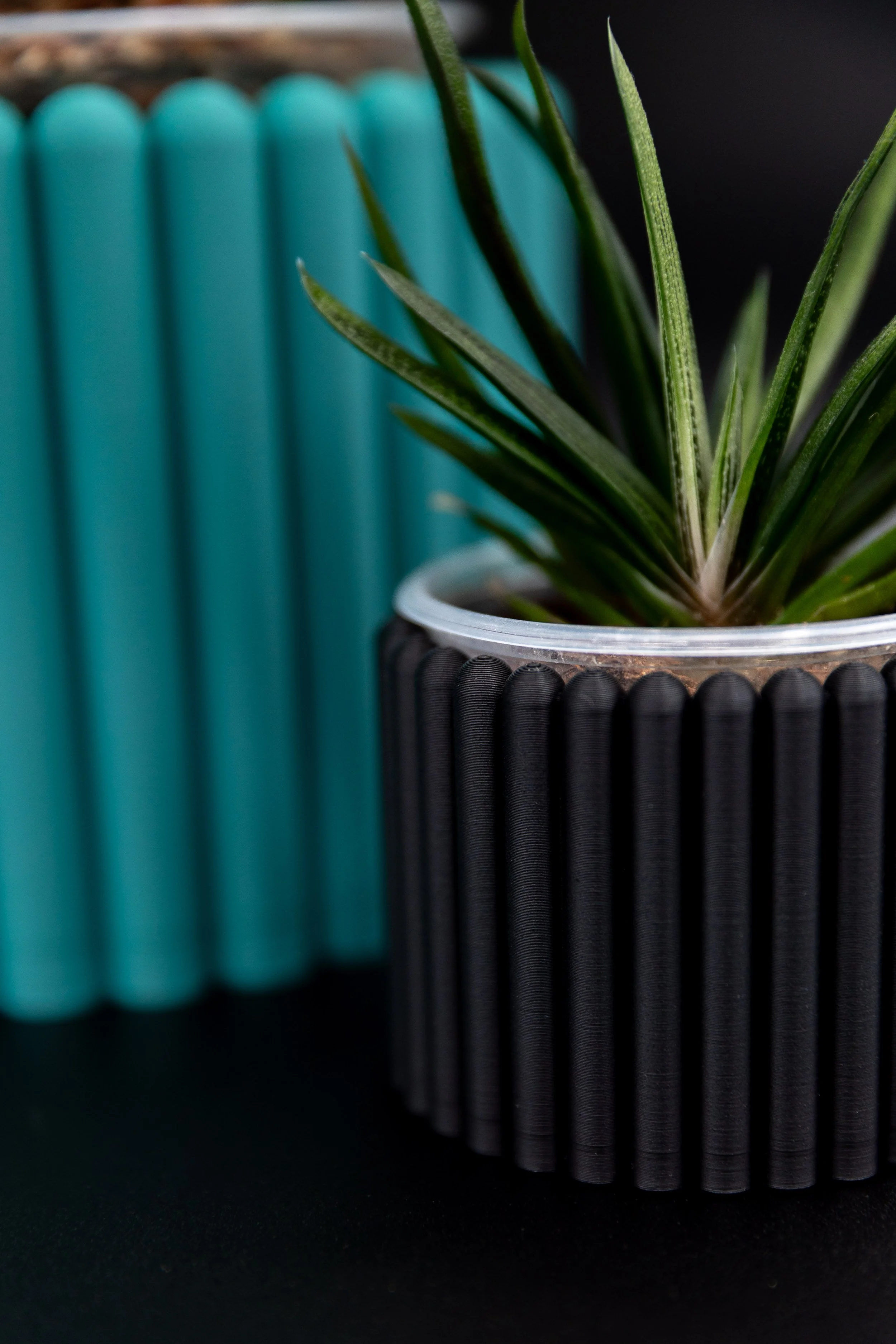 Close-up of the small black Carlie Planter with a spiky houseplant.