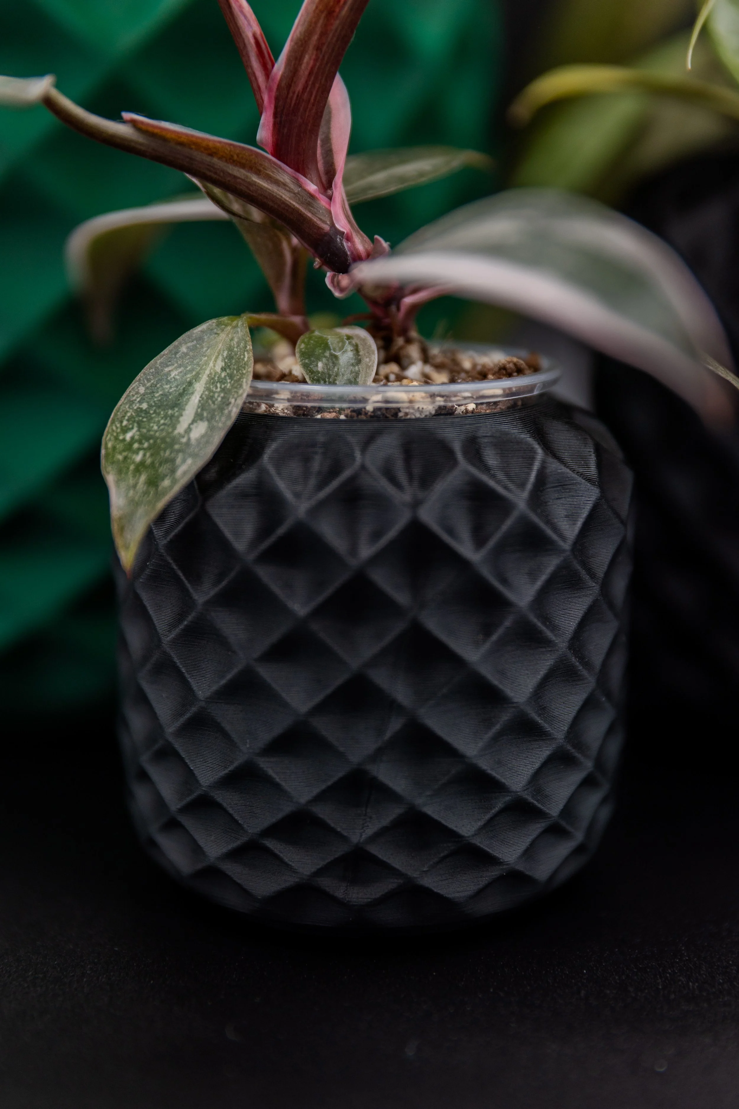 Close-up of the Shlie Planter showing diamond texture and plant rooted in chunky soil mix.