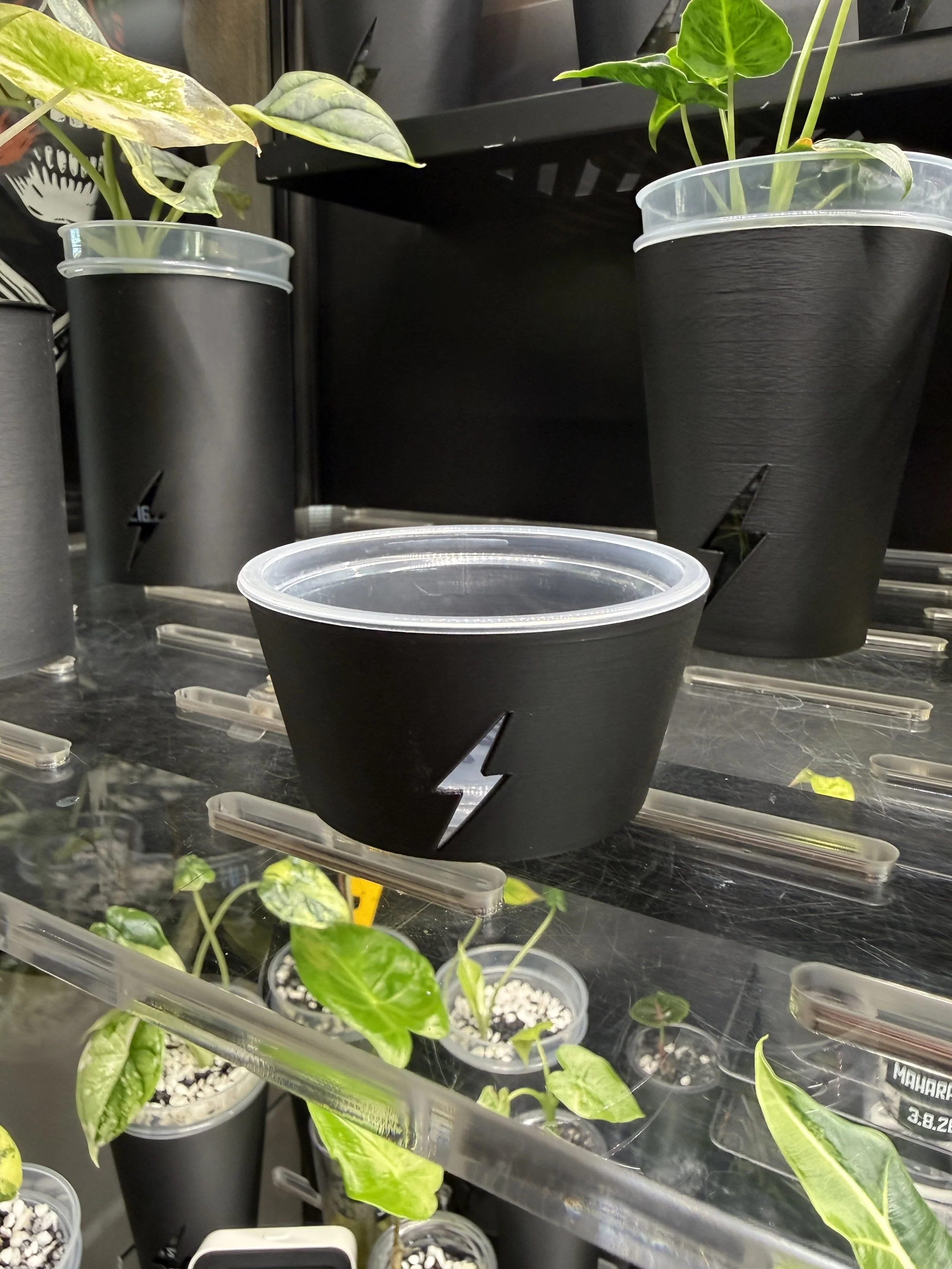Black 3.5oz condiment cup cover with lightning bolt cutout on clear plastic cup on plant shelf.