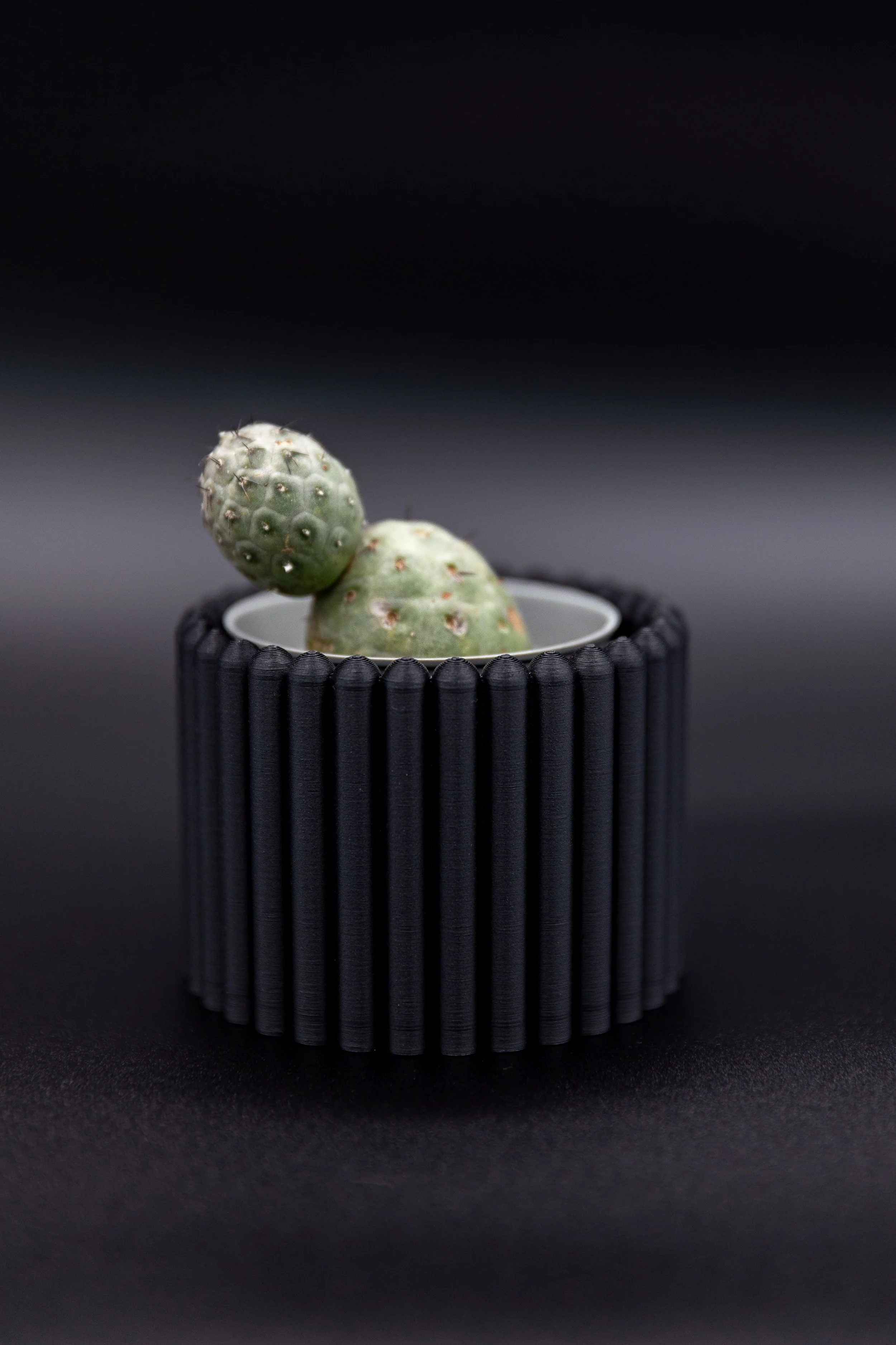 The Carlie Planter – Decorative | Ribbed Modern Indoor Planter (No Drainage)