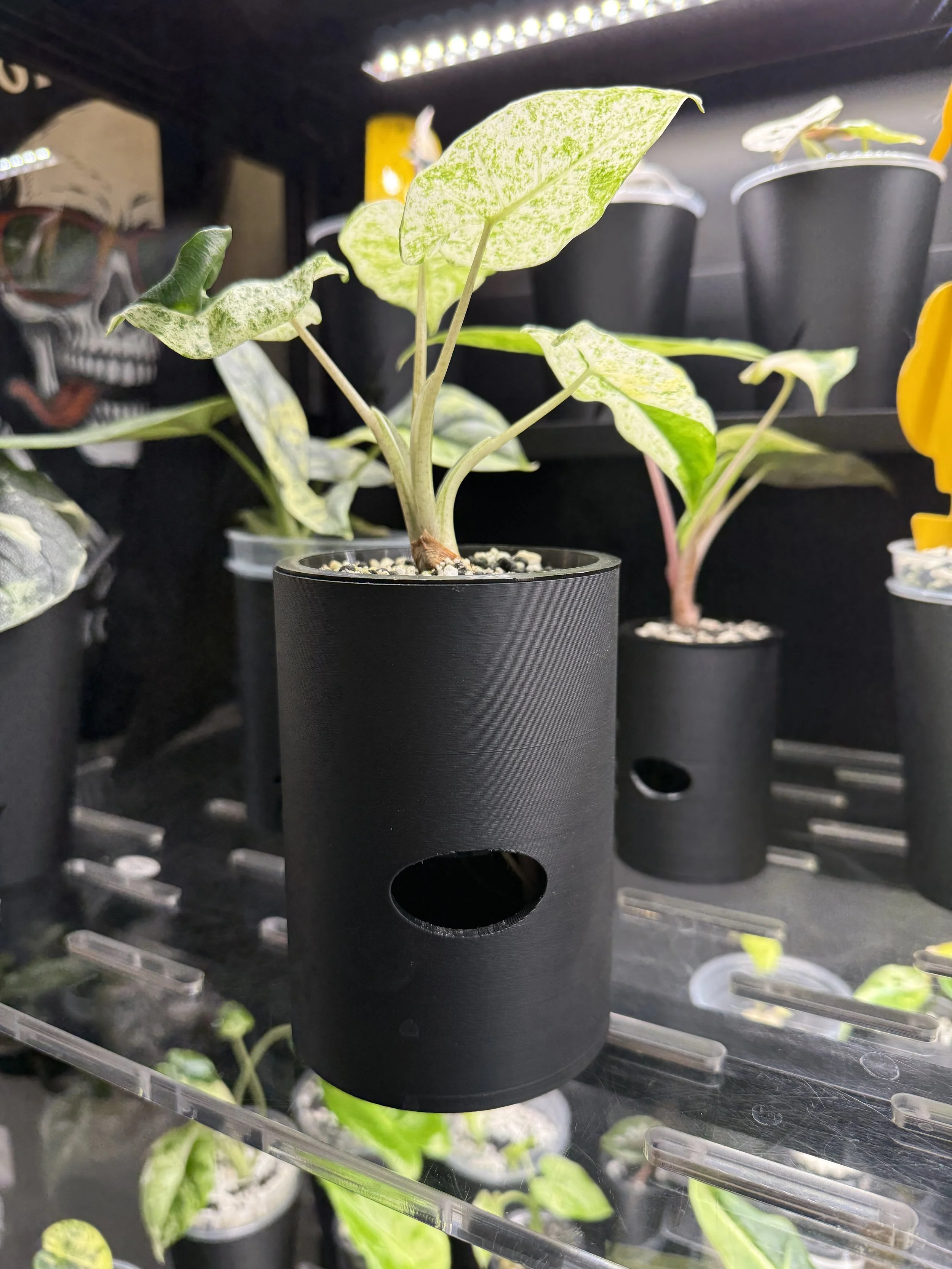 3” Smooth Cache Cup - Self Watering Planter