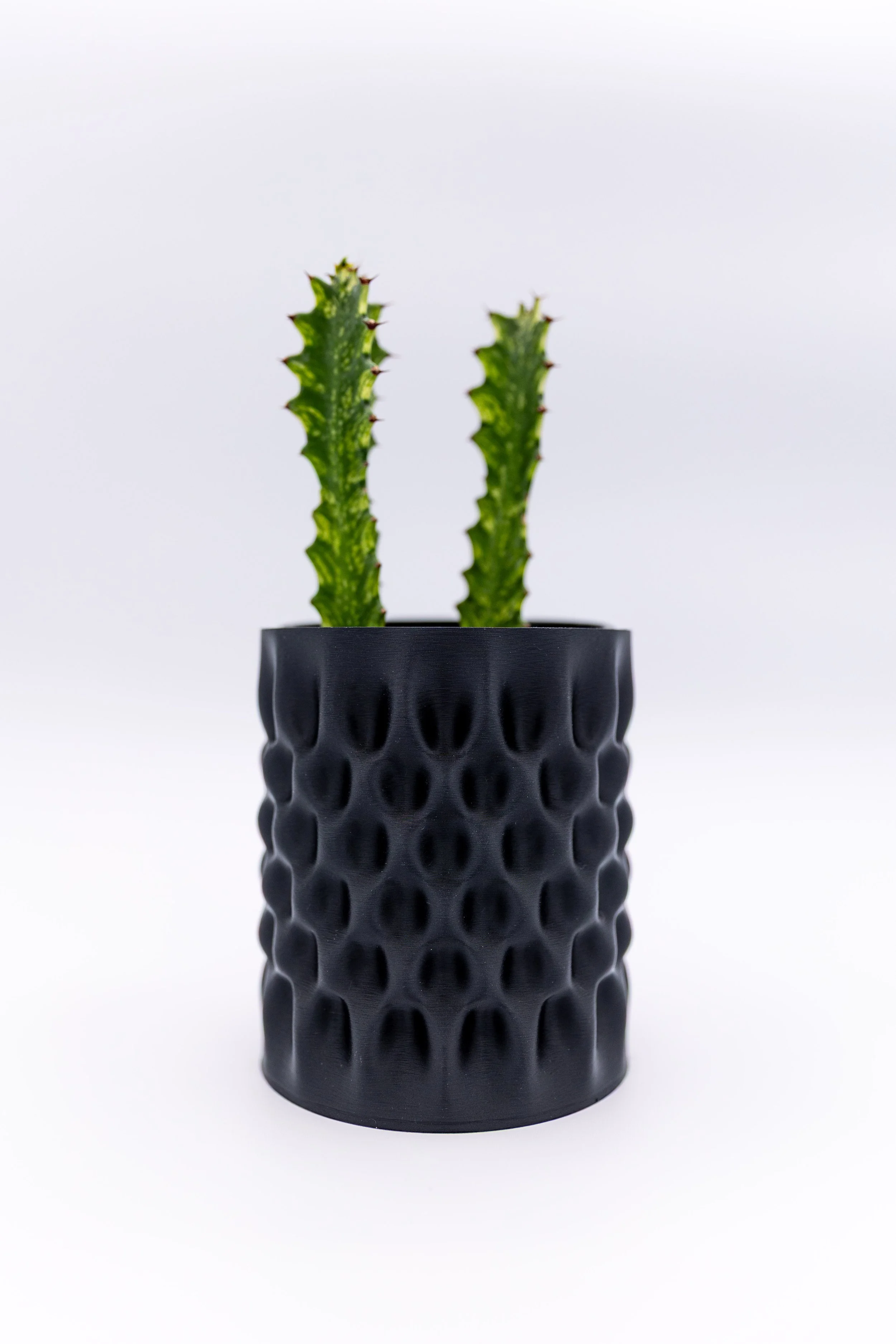 The Undertow Planter – Decorative | Wave-Textured Indoor Plant Pot (No Drainage)