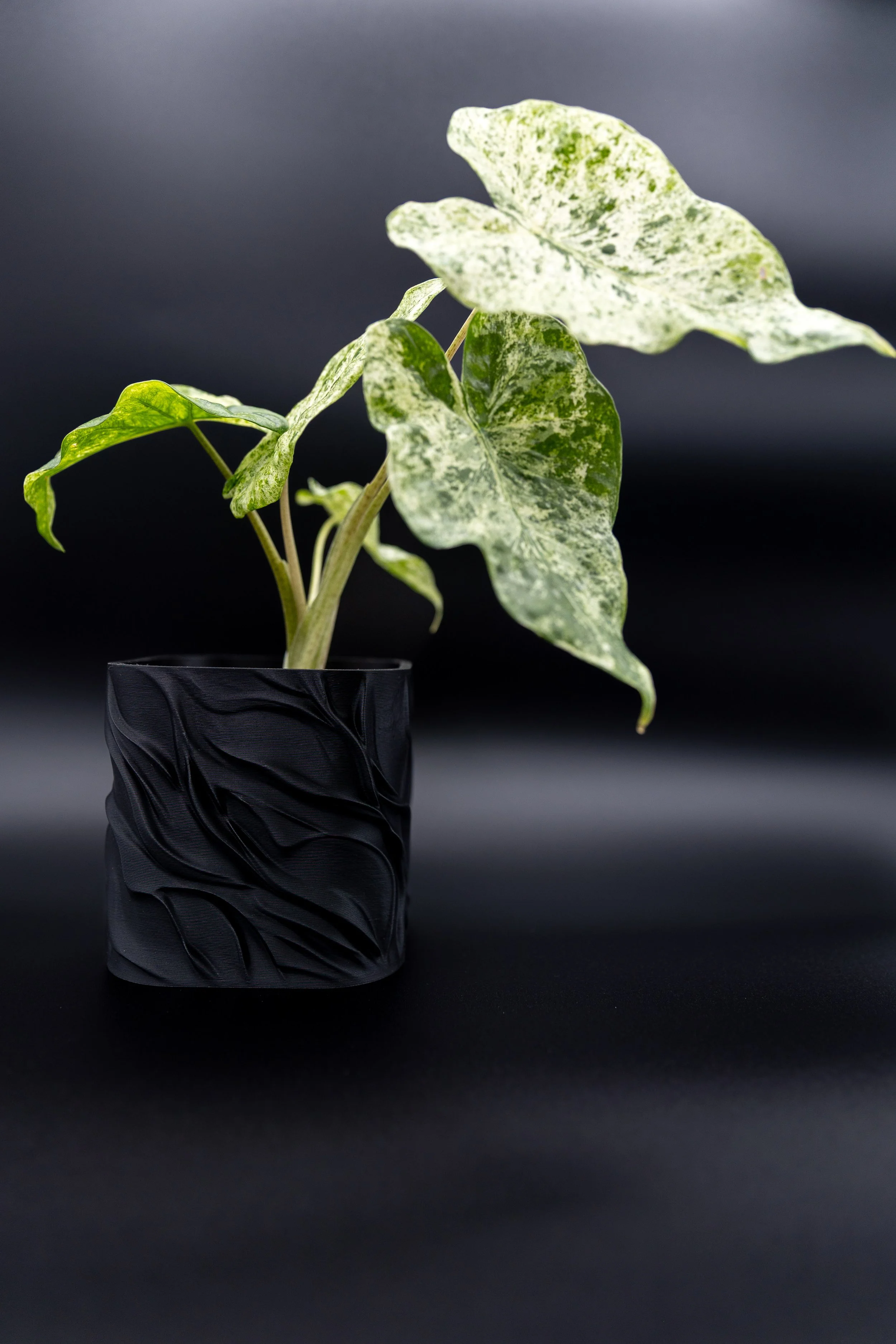 The KG Planter – Decorative | Wavy Textured 3D Printed Indoor Pot