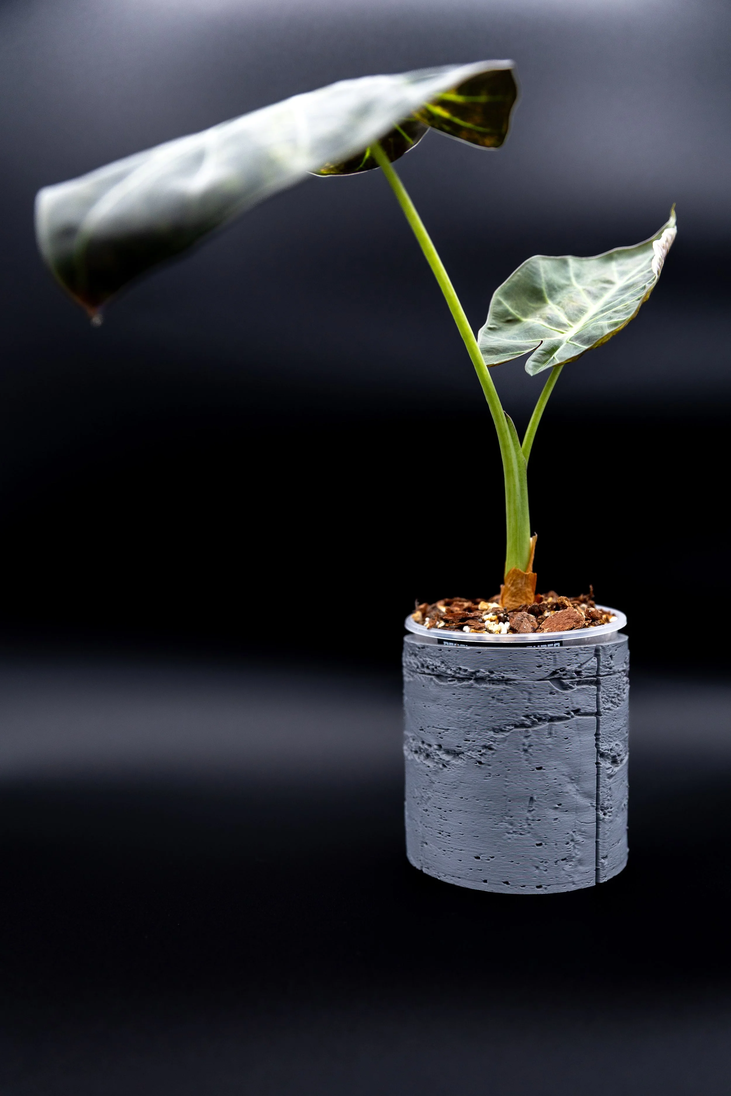 The Concrete Jungle Planter – Decorative | Weathered-Concrete Textured Planter