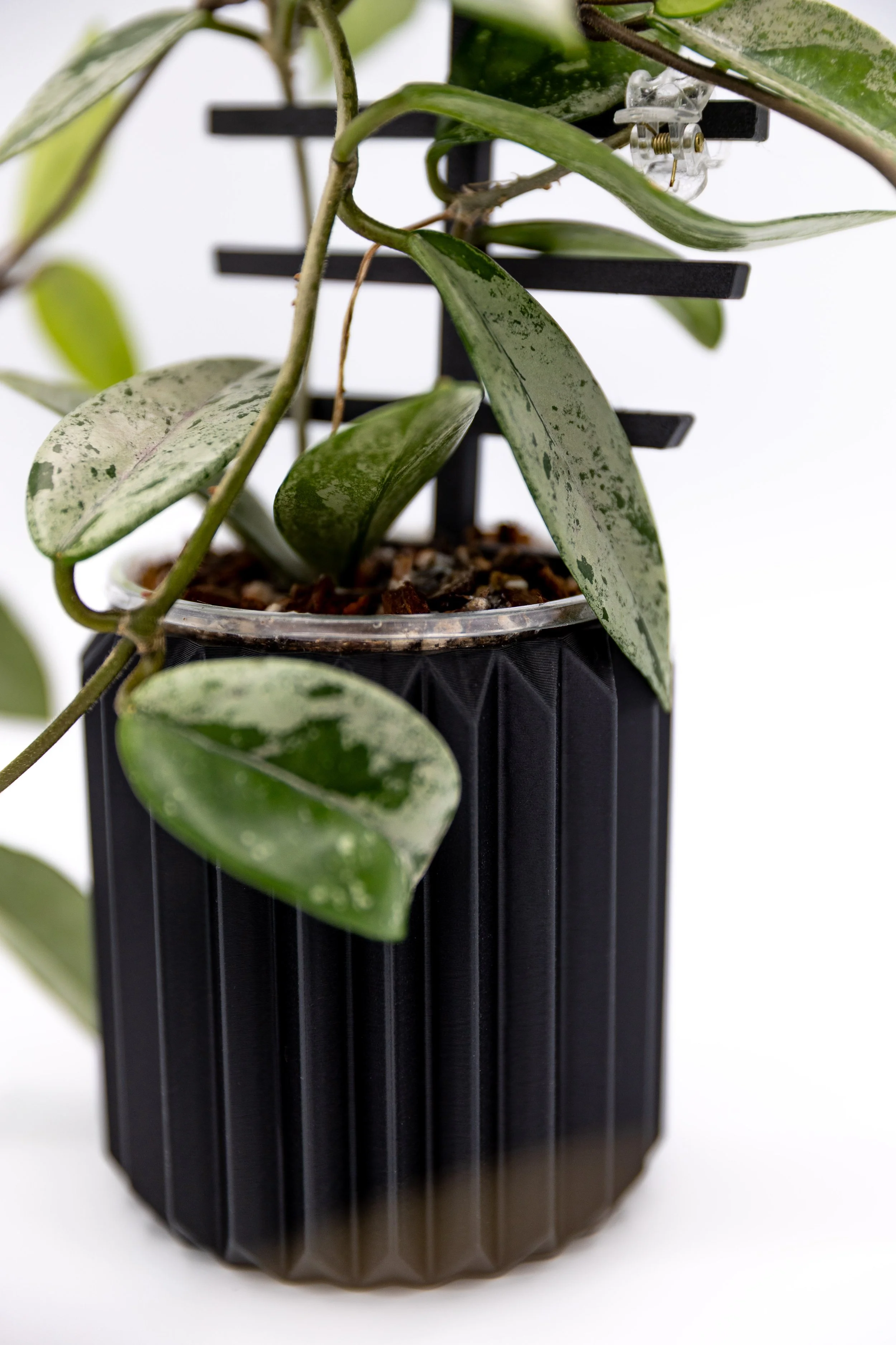 Close-up of the Myla Planter showing the textured ridged design and plant foliage.