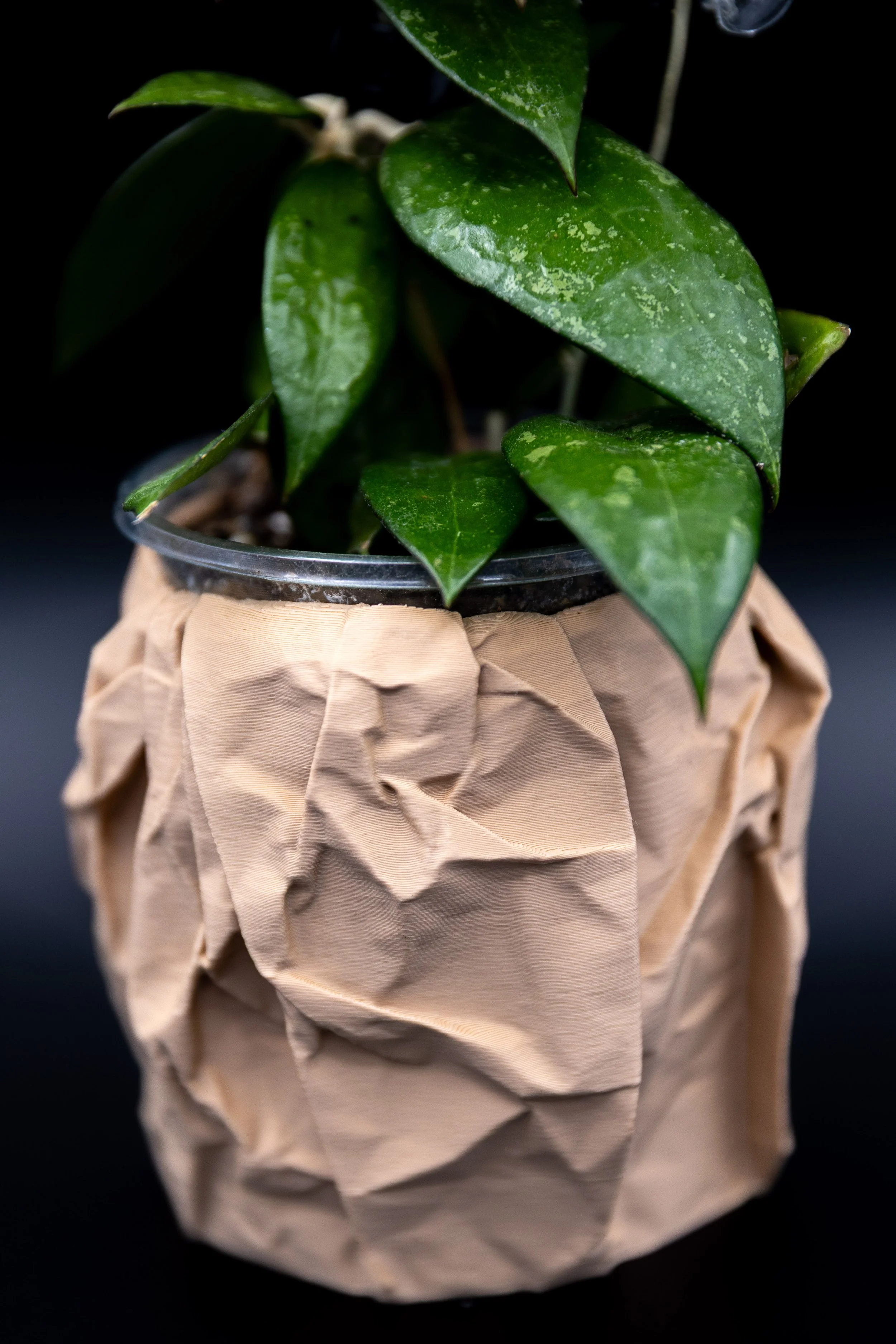 Close-up of the Love Letters Planter texture highlighting the wrinkled, craft-paper look. (Copy)