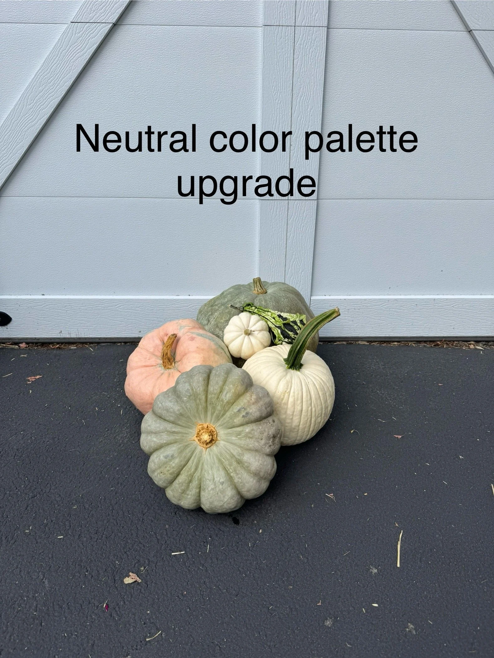 8FF3307C-49B7-4CA4-8B26-CFD5F4E2F437.jpeg